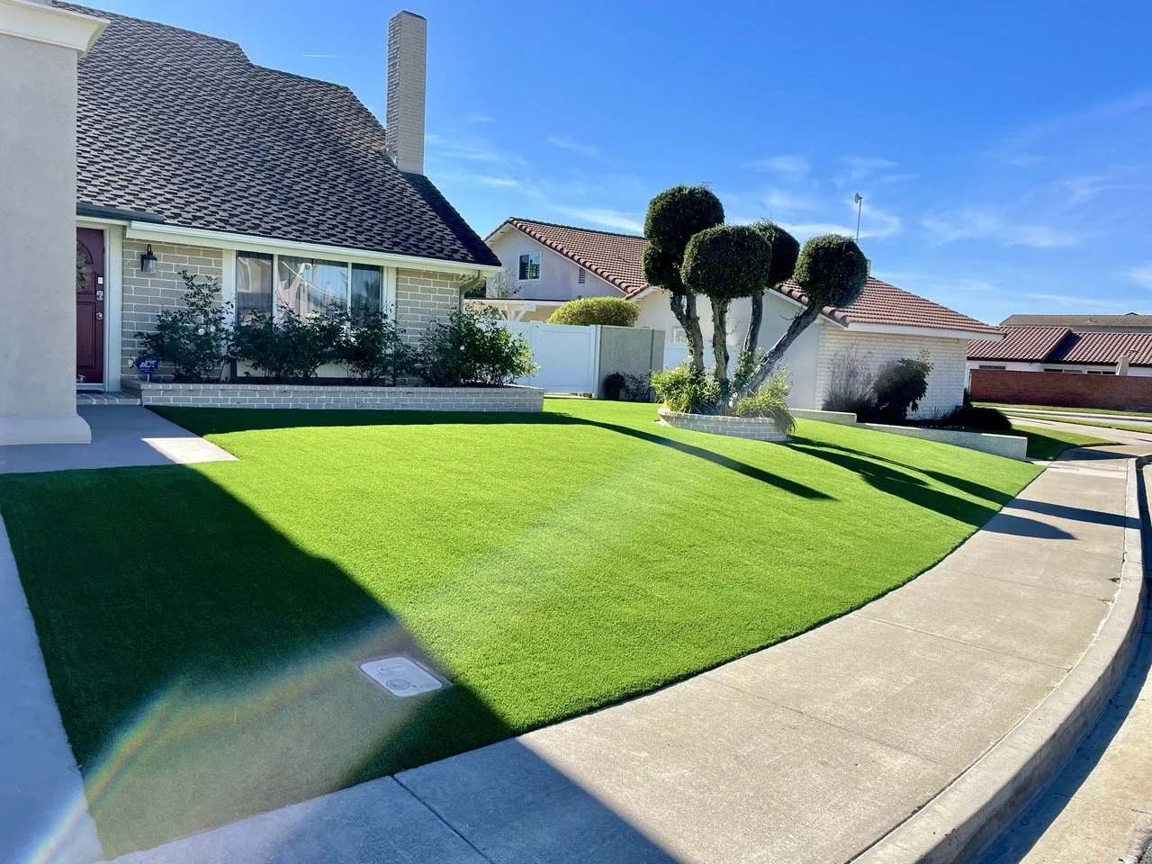 Front yard of a house with a well-manicured green lawn, trimmed trees, and a sidewalk under a clear blue sky.
