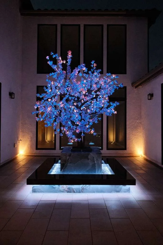 WhatsApp Image 2026-04-27 at 11.54.44 AM.jpeg