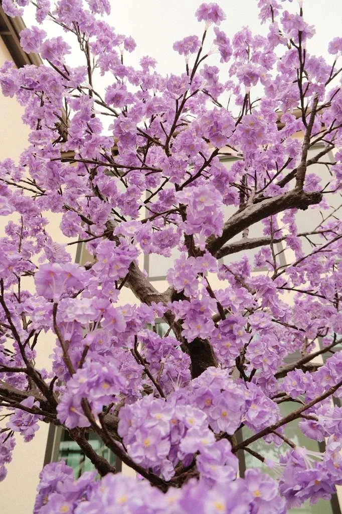 WhatsApp Image 2026-04-27 at 11.54.45 AM (4).jpeg