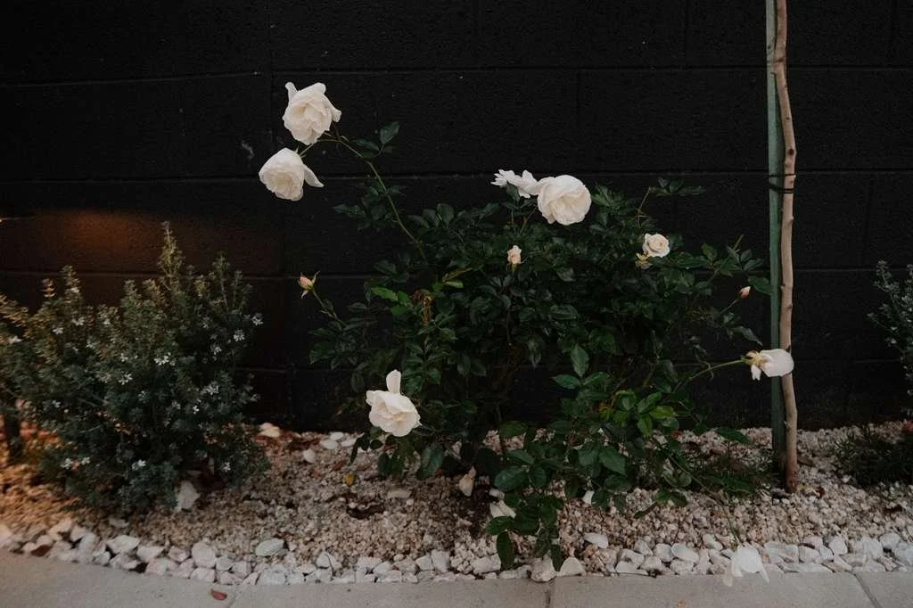 WhatsApp Image 2026-04-28 at 10.00.38 AM (3).jpeg