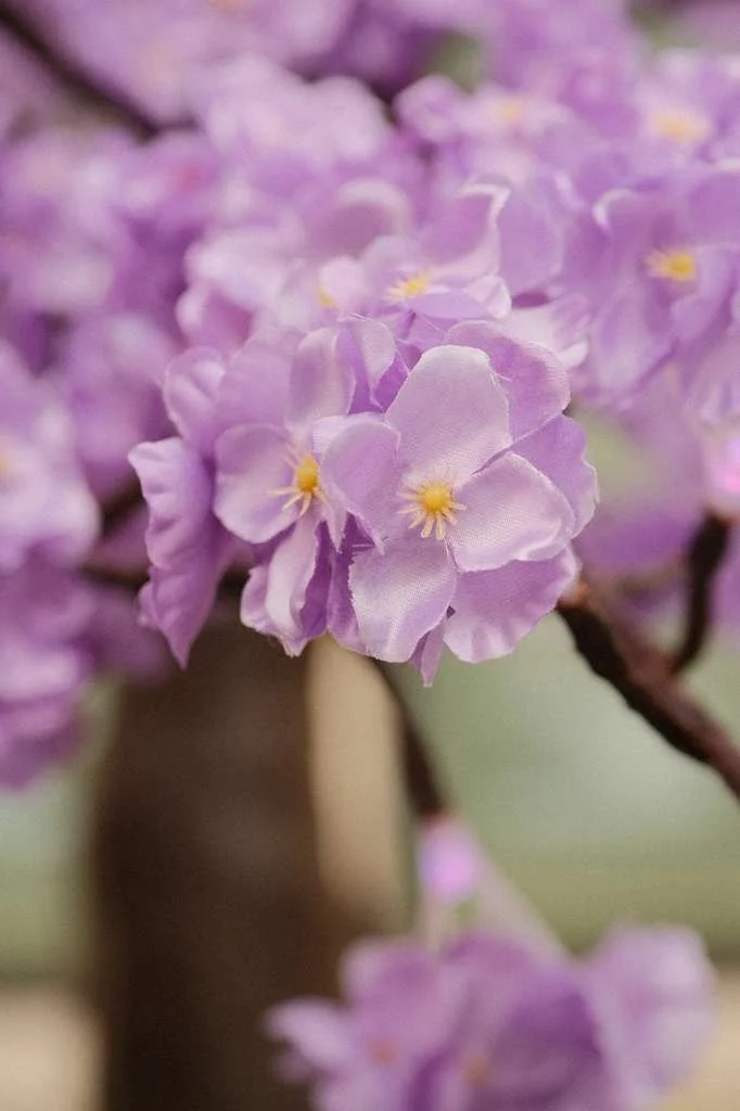 WhatsApp Image 2026-04-27 at 11.54.48 AM.jpeg