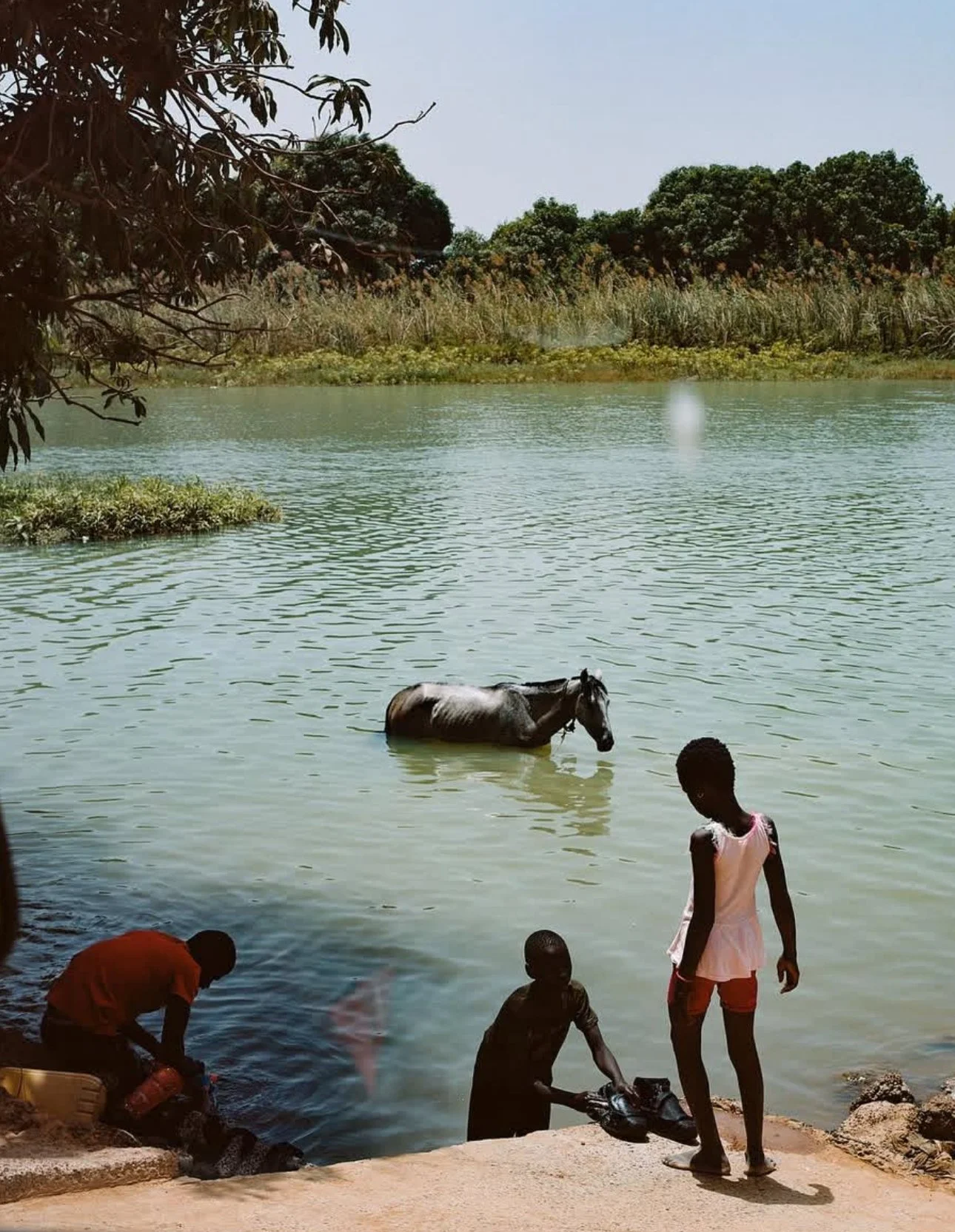 Children and a person by a river with a horse in the water, trees in the background, and a clear sky.