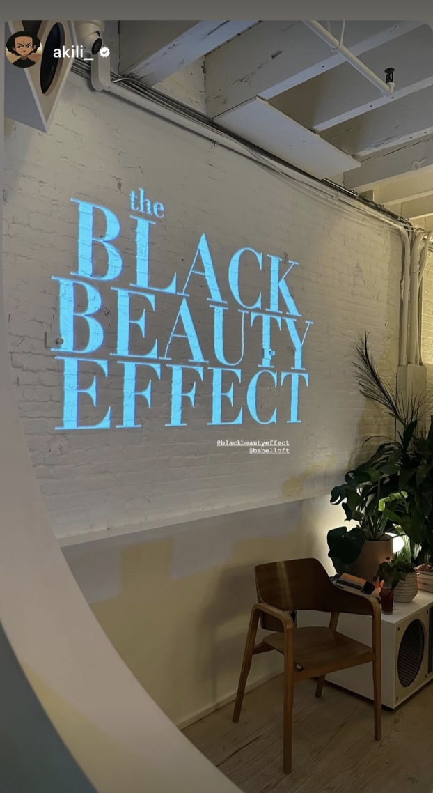 Projection on a white brick wall displays the text 'the BLACK BEAUTY EFFECT' in large, blue letters. There is a potted plant with large green leaves to the right, and wooden furniture including a chair and a small white table beneath the projection, 
