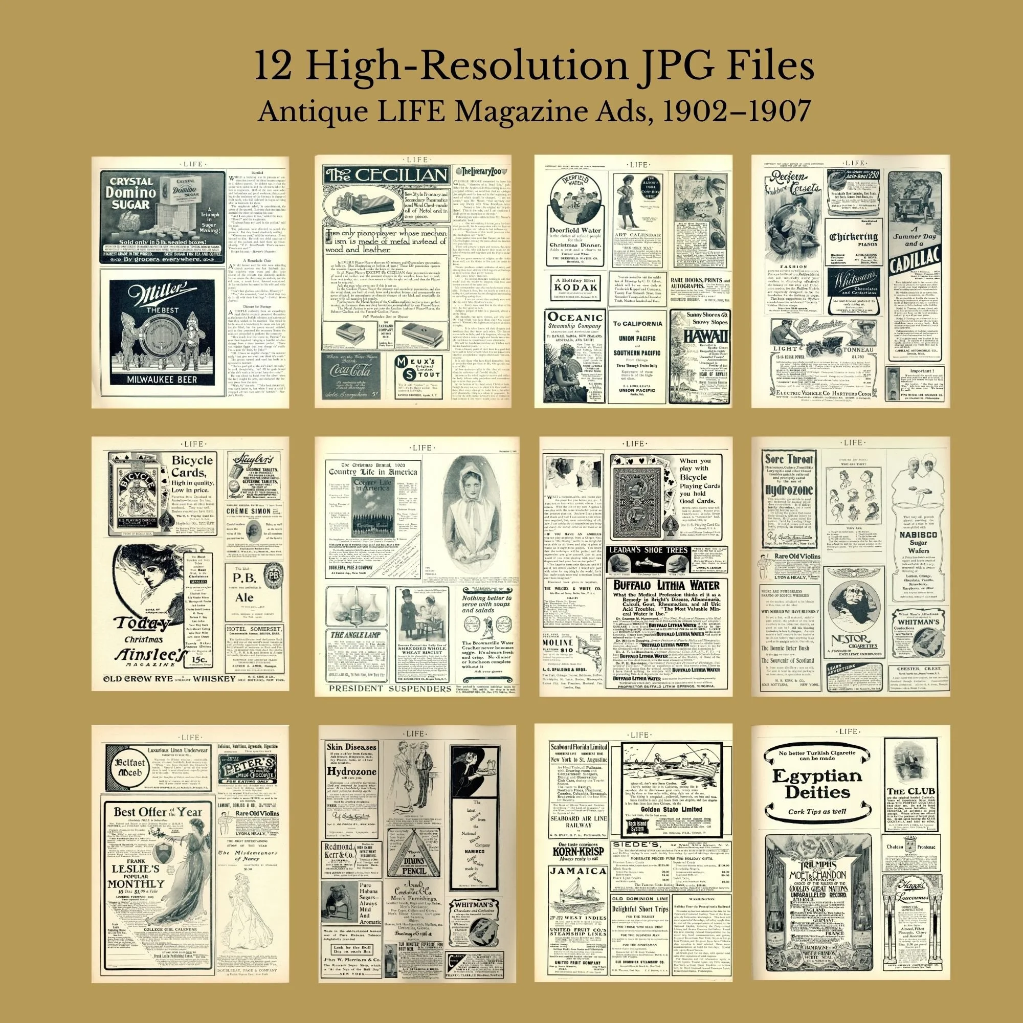 Commerce & Curiosities — 12 Antique LIFE Magazine Advertising Pages, 1902–1907