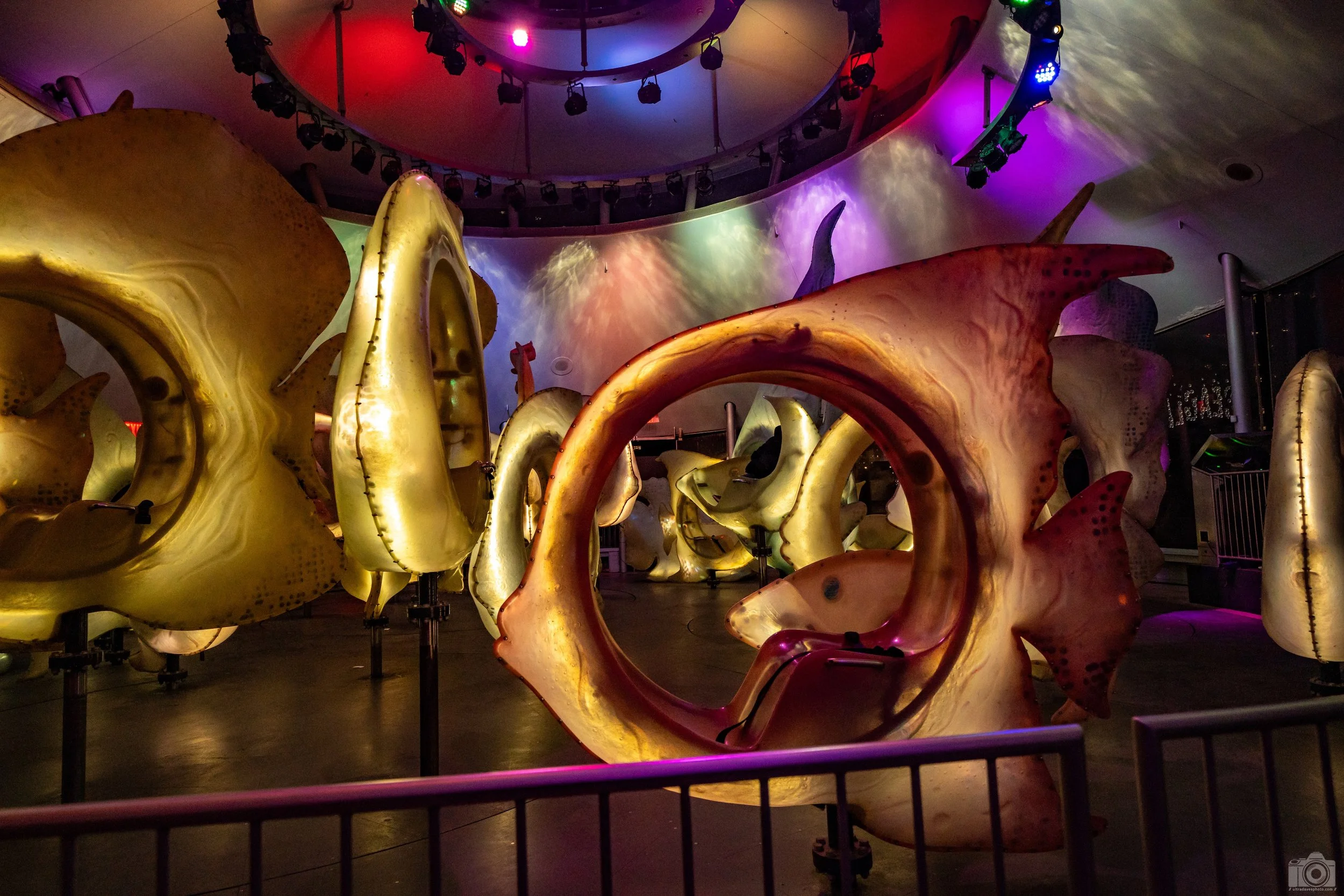 2024 - The Amber Glow.  Shot with a Sony a7c II // FE 12-24mm G @ 22mm f/4 ISO 6400 - 1/800s.