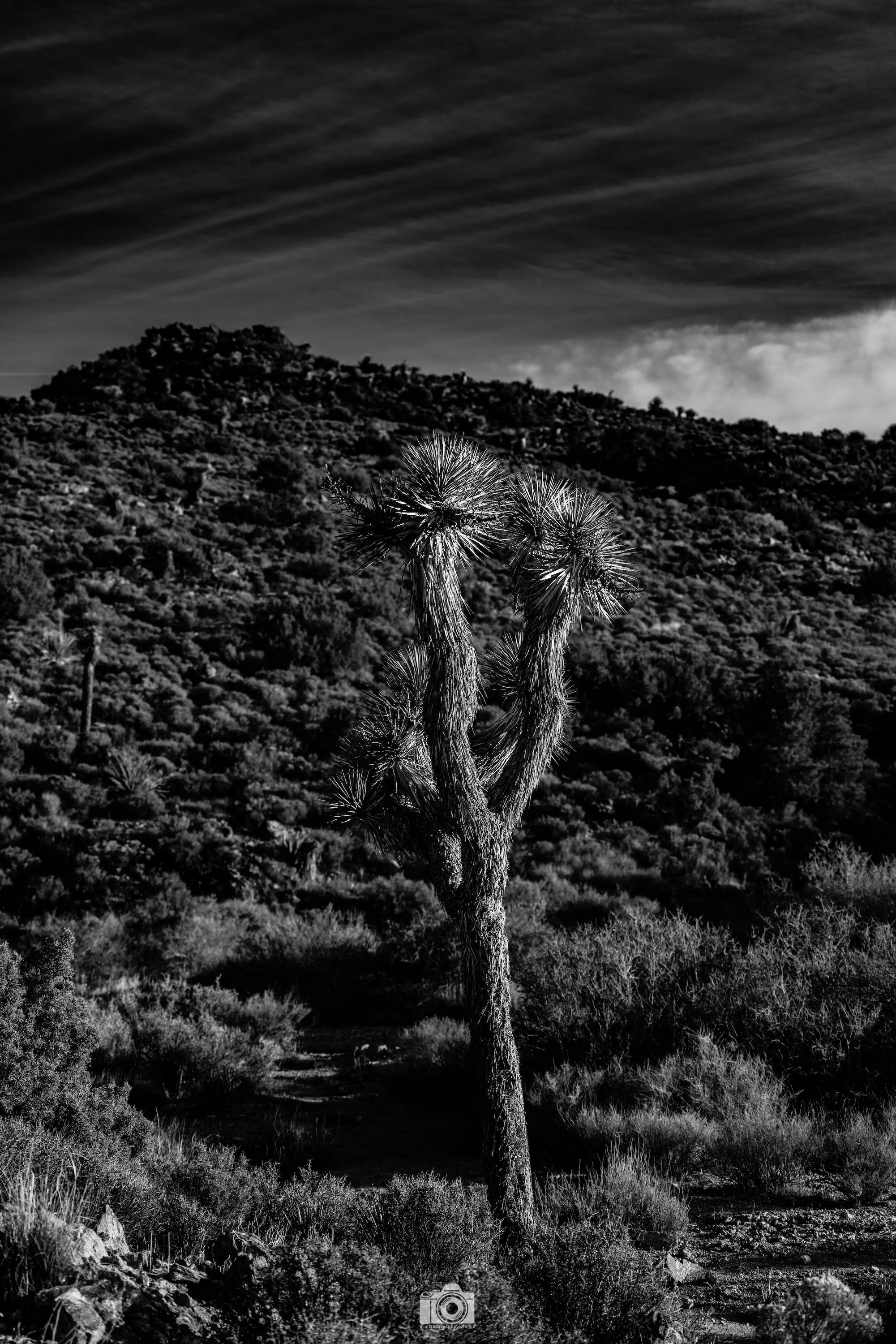 2025 - Lost Horse Mine, Where Are You?!  Shot with a Canon EOS R5 // 70-200mm F4L @ 70mm f/4 ISO 100 - 1/400s.