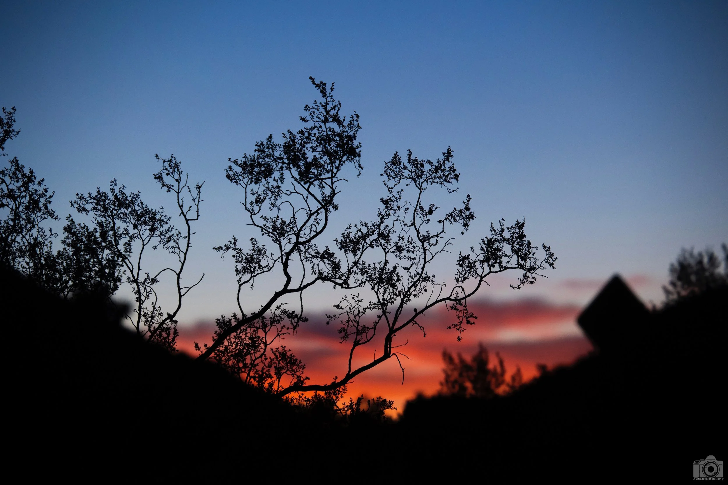 2020 - Silhouette Sunset. Joshua Tree, CA.  Shot with a Canon EOS R6 // EF 70-300mm DO with RF adapter @ 180mm f5.16 ISO 1600 - 1/500s.