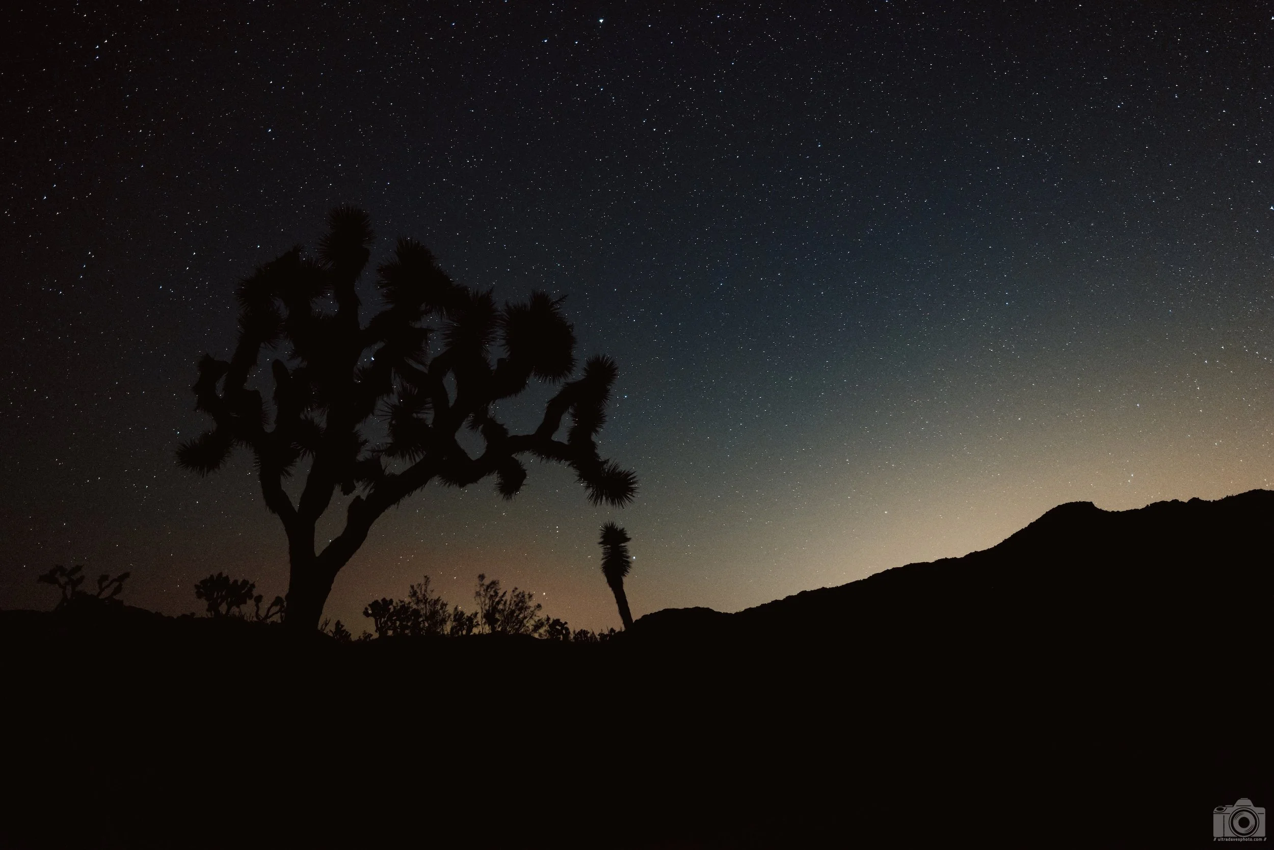 2022 - We found a nice parking lot location in the middle of the park.  I always look for the perfect tree.  Shot with a Canon EOS R5 // RF 15-35mm @ 26mm f/2.8 ISO 4000 - 10s.  Tripod mounted.