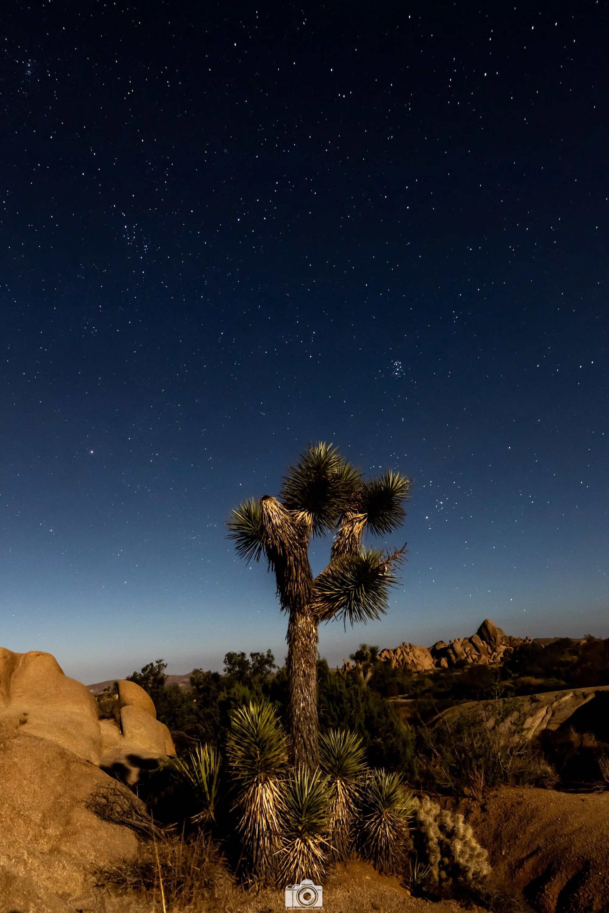 Joshua Tree Nightsky Star Cluster - Full Resolution JPG Download