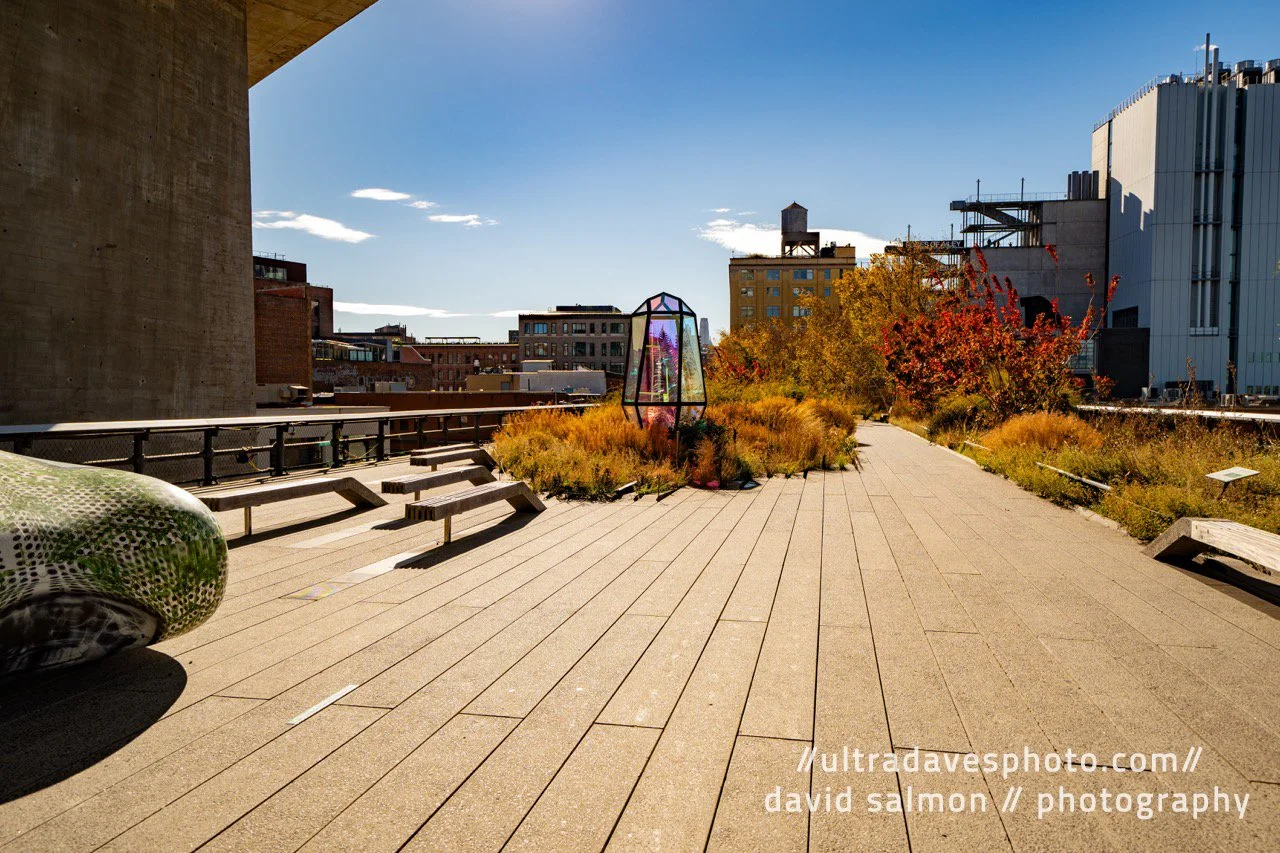 On the High Line... Very cool place for photos if you can avoid the crowds. Shot with a Sony a7c II // FE 12-24mm G @ 24mm f/4 ISO 100 - 1/800s.