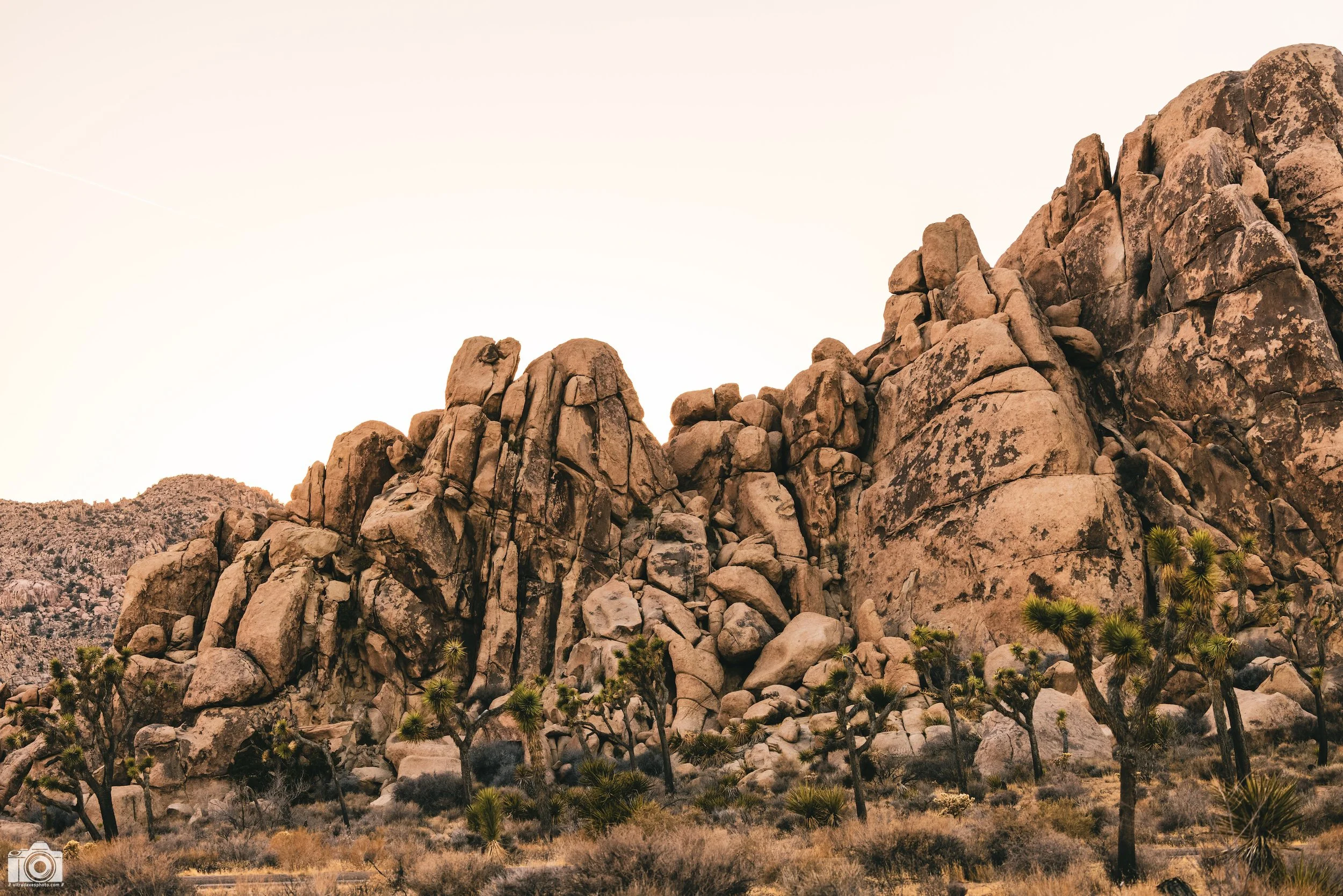 2024 - Trees Running from the Rocks!  Shot with a Canon EOS R5 // RF 70-200mm @ 70mm f/4 ISO 100 - 1/250s.