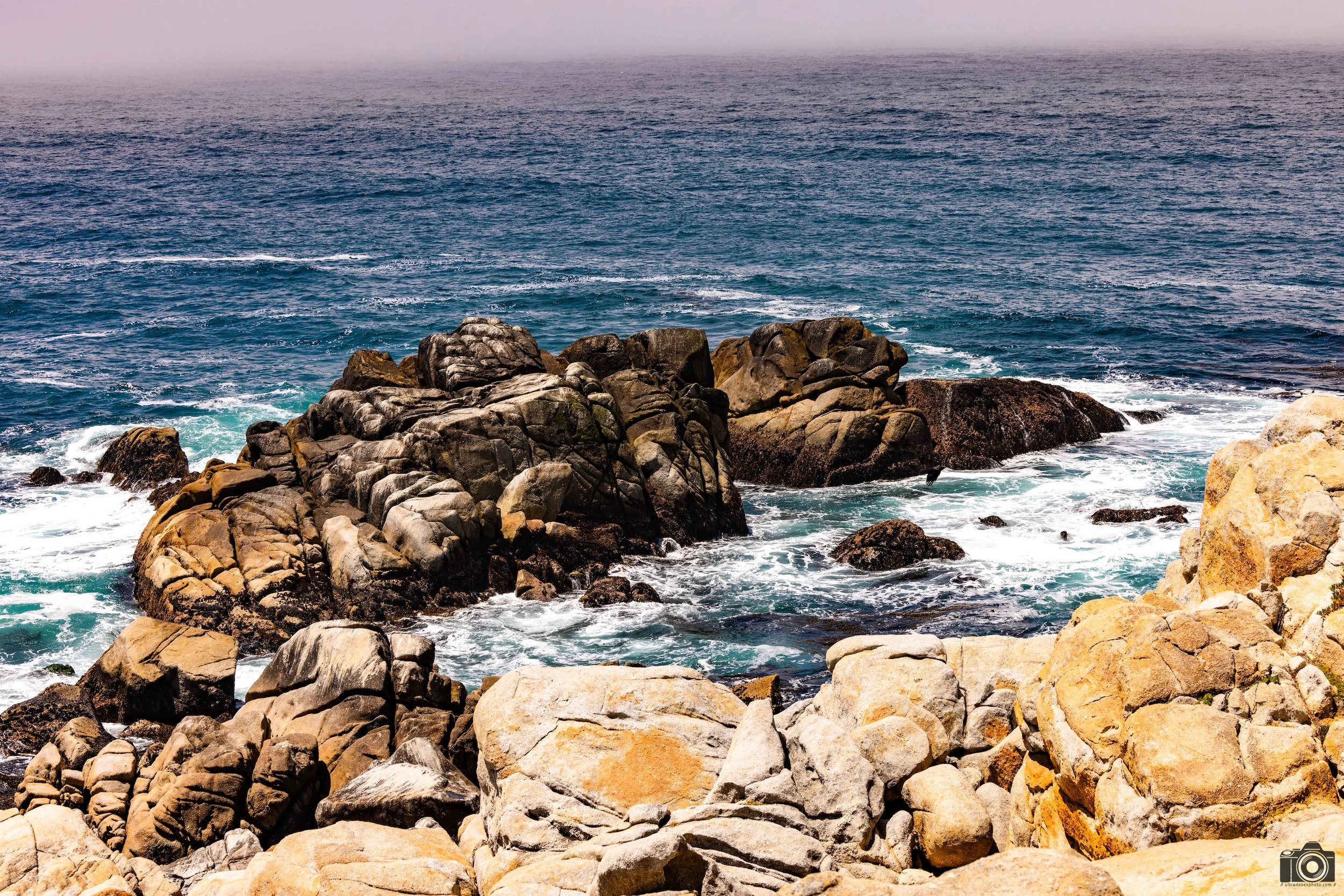 California Cold.  Shot taken with a Canon EOS R5 with an RF 70-200mm f/2.8L @ 70mm - f/8 ISO 100 1/400s.