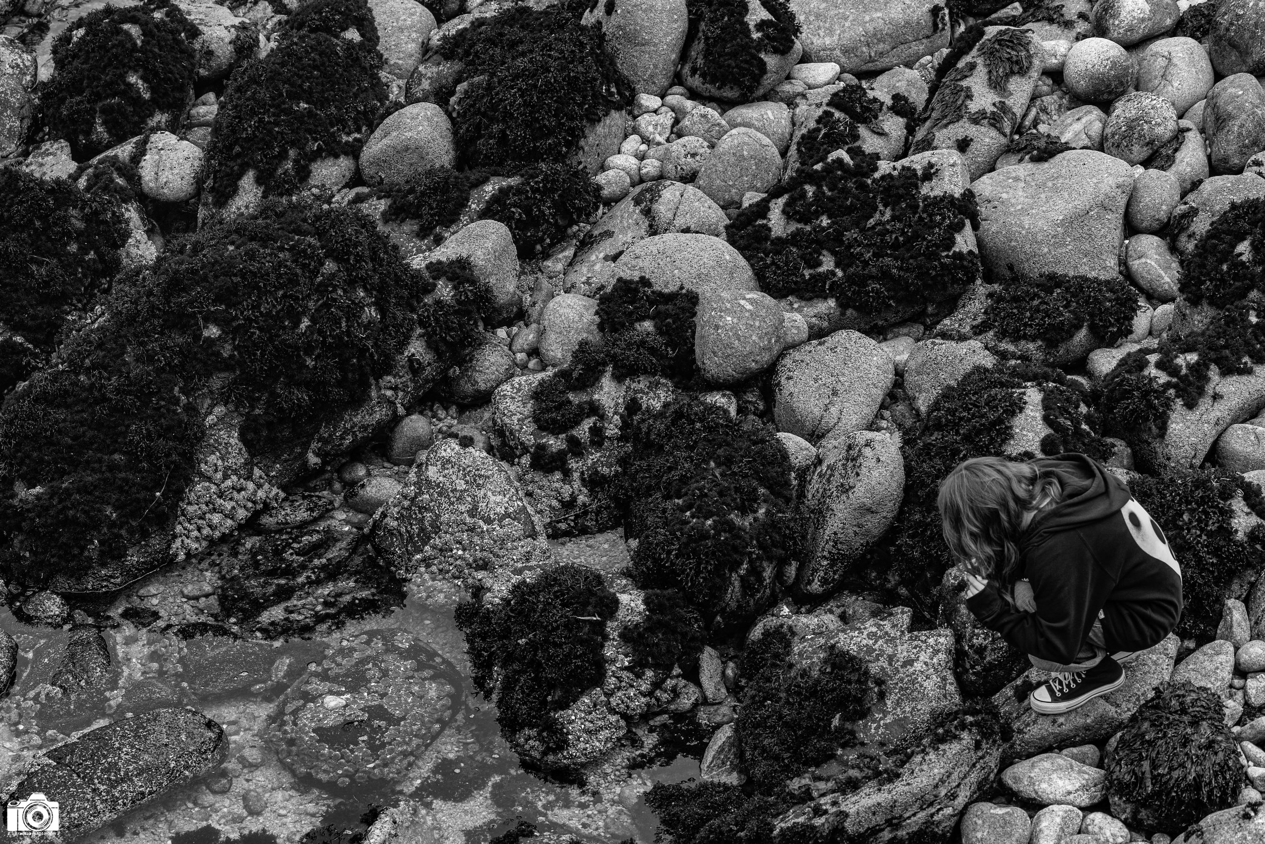 Exploration Pt. 2 in B&W.  Shot taken with a Canon EOS R5 with an RF 70-200mm f/2.8L @ 70mm - f/5.6 ISO 100 1/800s.