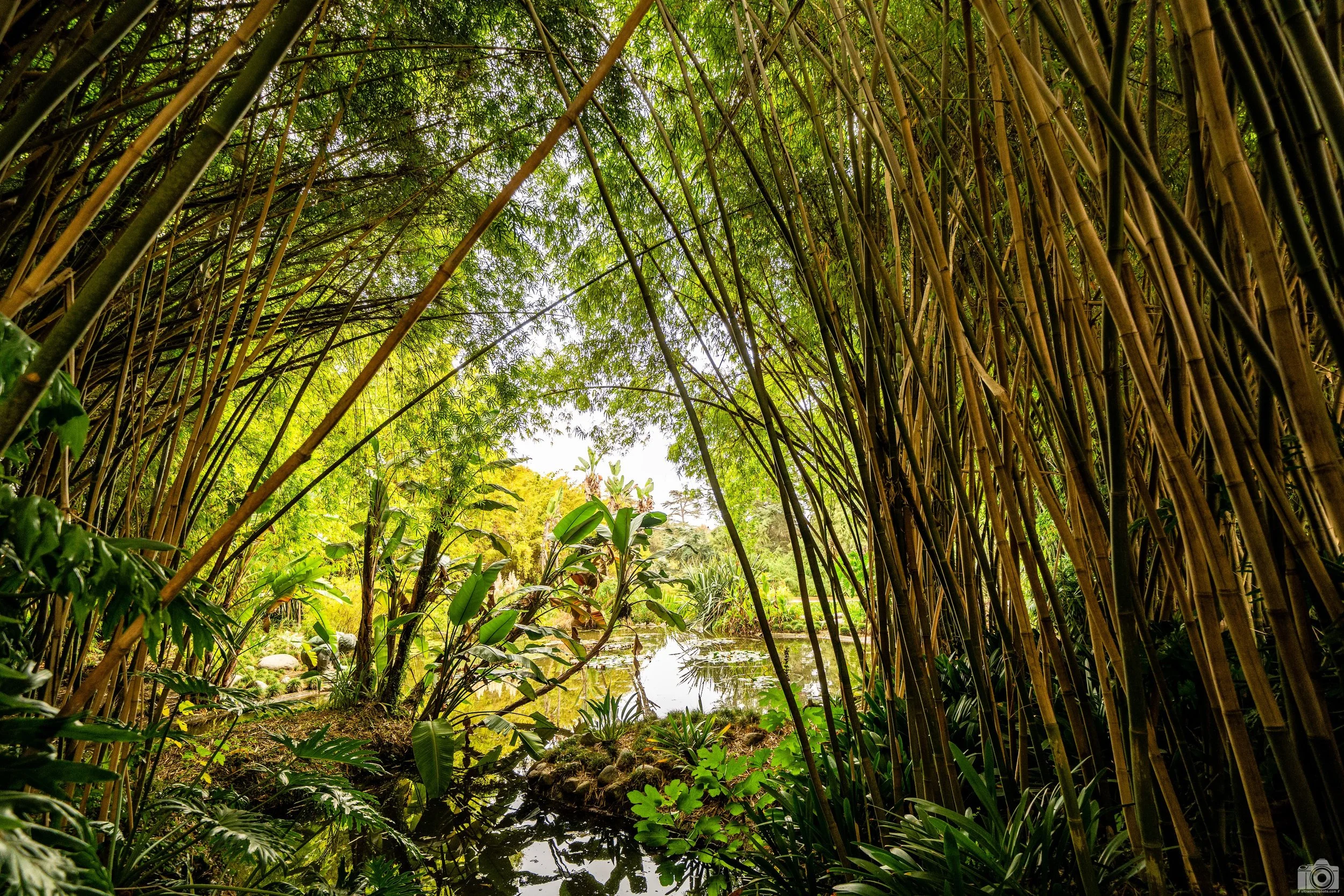2024 - Bamboo Shores.  Shot with a Sony a7c II // 12-24mm f/4 G @ 17mm - ISO 640 - 1/80s.