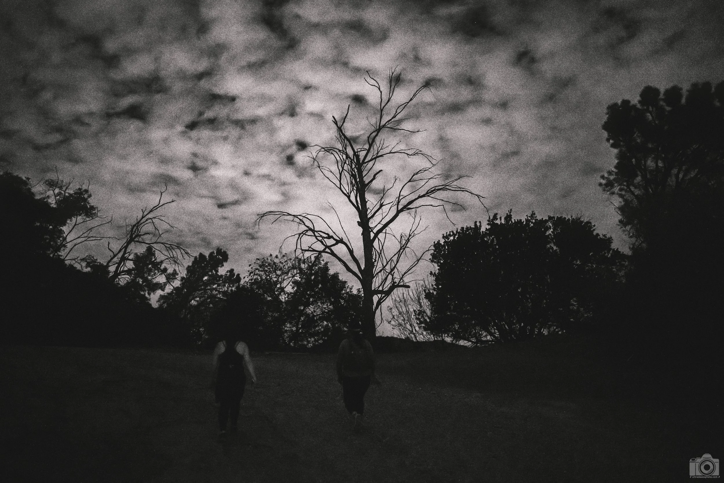 2025 - The Eerie Path.  Shot with a Sony a7c // FE 35mm f/1.4 GM @ ISO 3200 - 1/250s. 