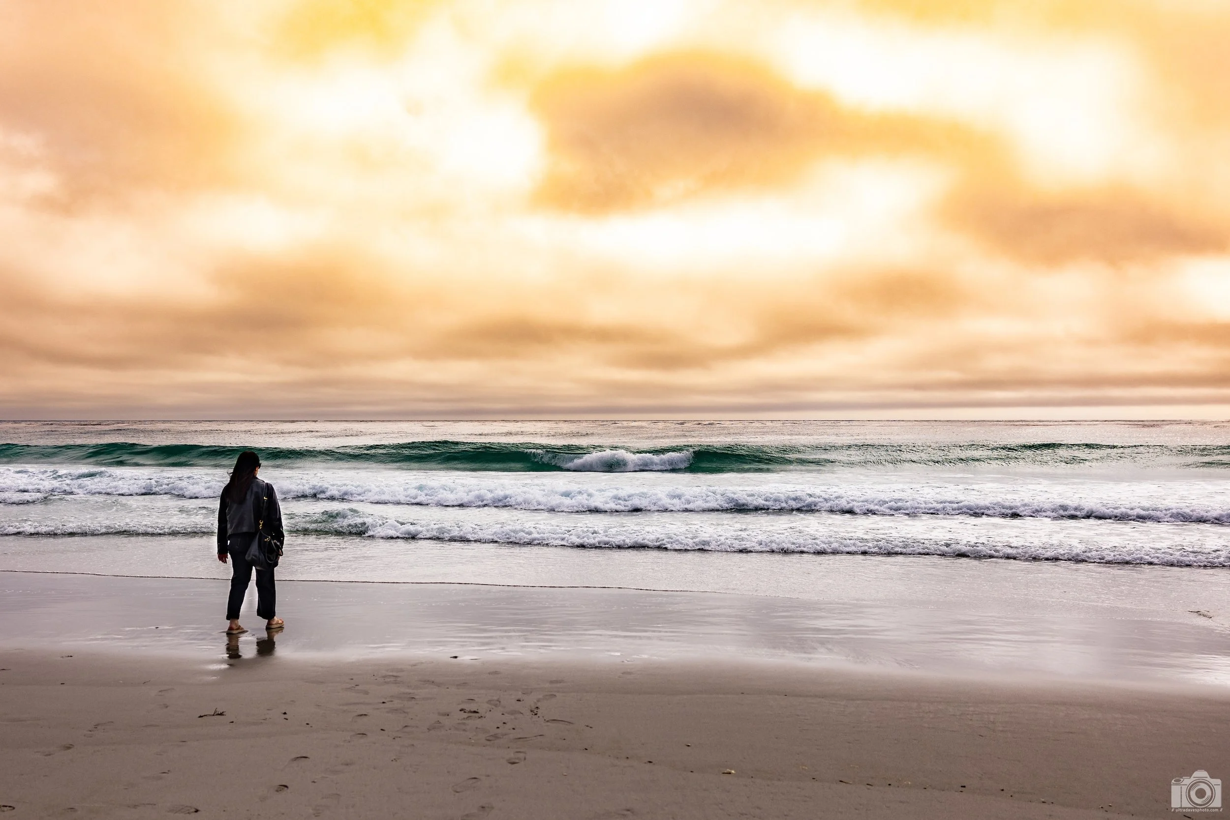 ...and it was all yellow.  Shot taken with a Canon EOS R5 with an RF 24-70mm f/2.8L @ 29mm - f/4 ISO 100 1/1250s.