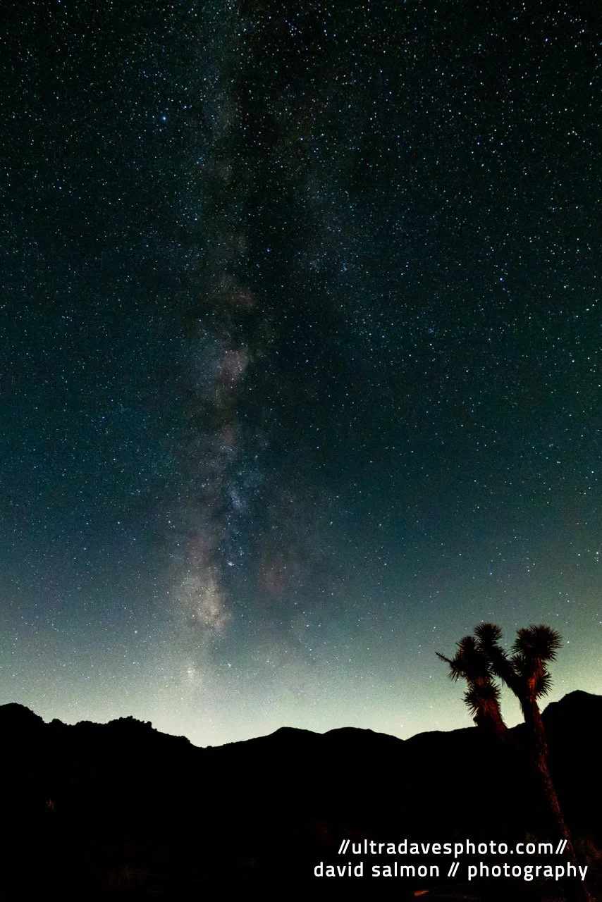2022 - Just Look Up! Shot with a Canon EOS R5 // RF 15-35mm @ 15mm f2.8 ISO 8000 5s. Tripod mounted.