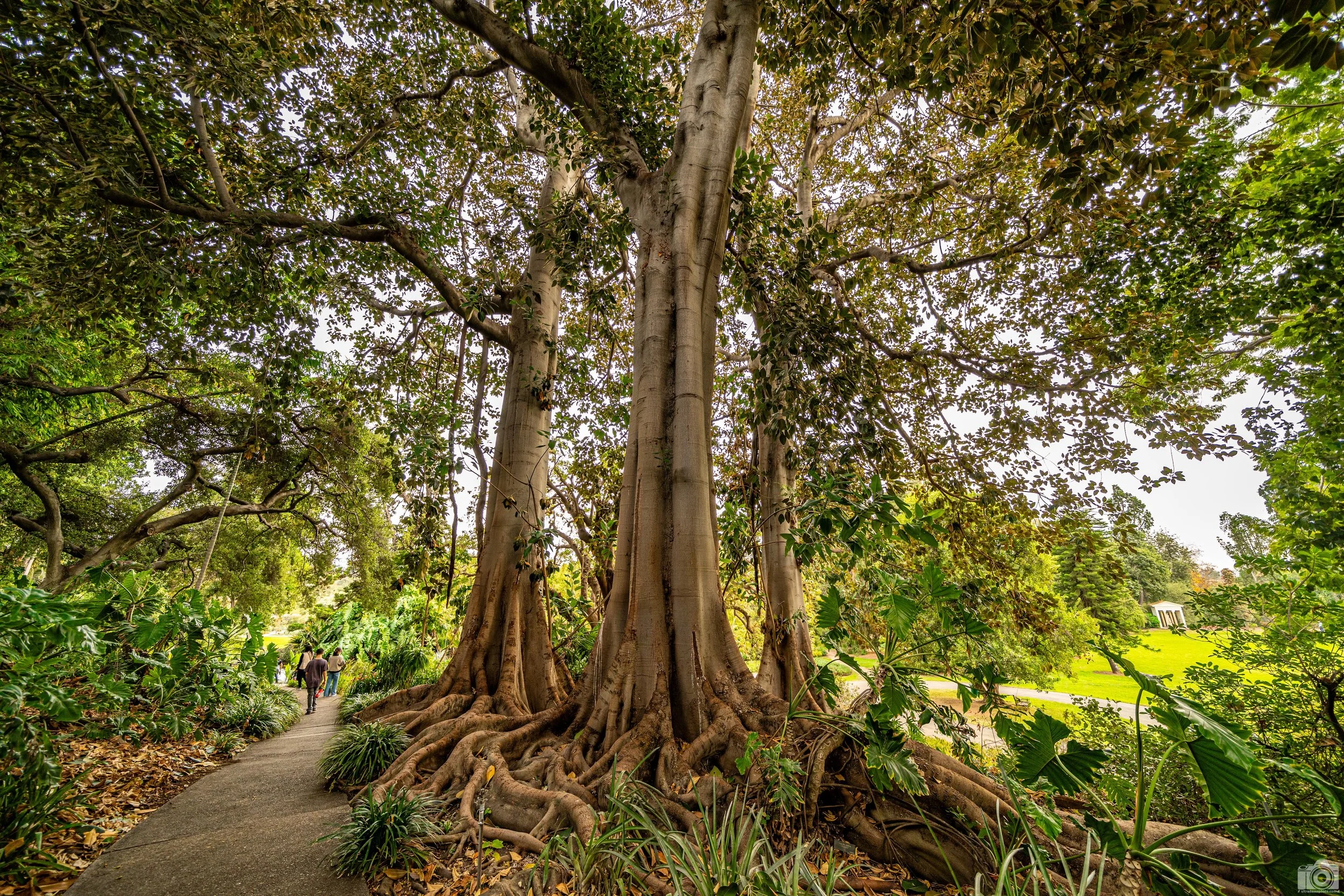 2024 - I always try to stick to one camera and lens and switch it up each visit.  That way I can keep my focus.  I used to use several lenses, but constantly having to swap out takes away time and you end up missing shots.  I read a post where a phot