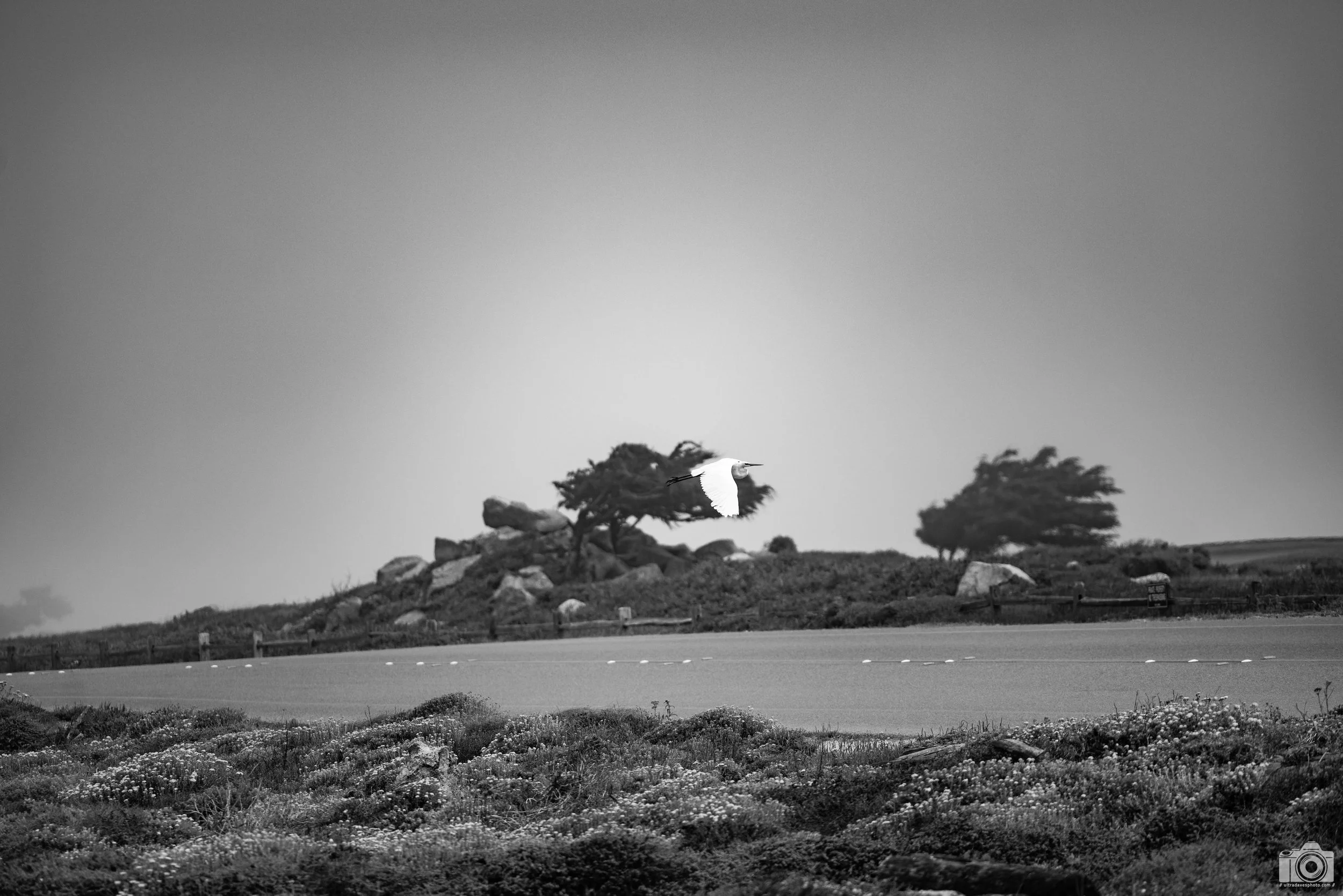 Above The Asphalt.  Shot taken with a Canon EOS R5 with an RF 70-200mm f/2.8L @ 200mm - f/2.8 ISO 100 1/3200s.