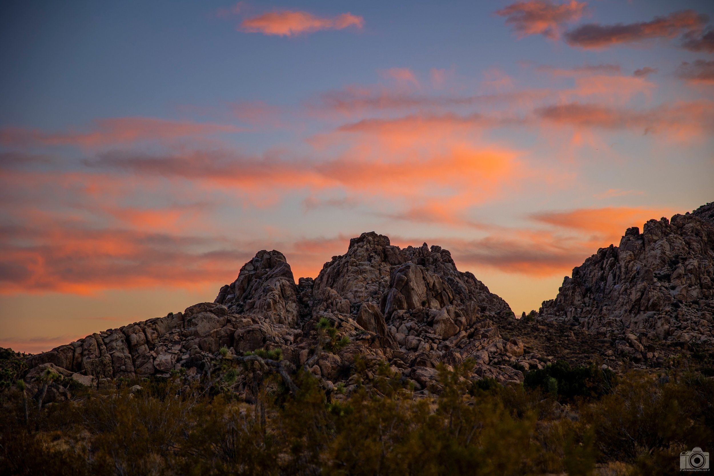 Joshua Tree - Orange Colored Sky - Full Resolution JPG Download