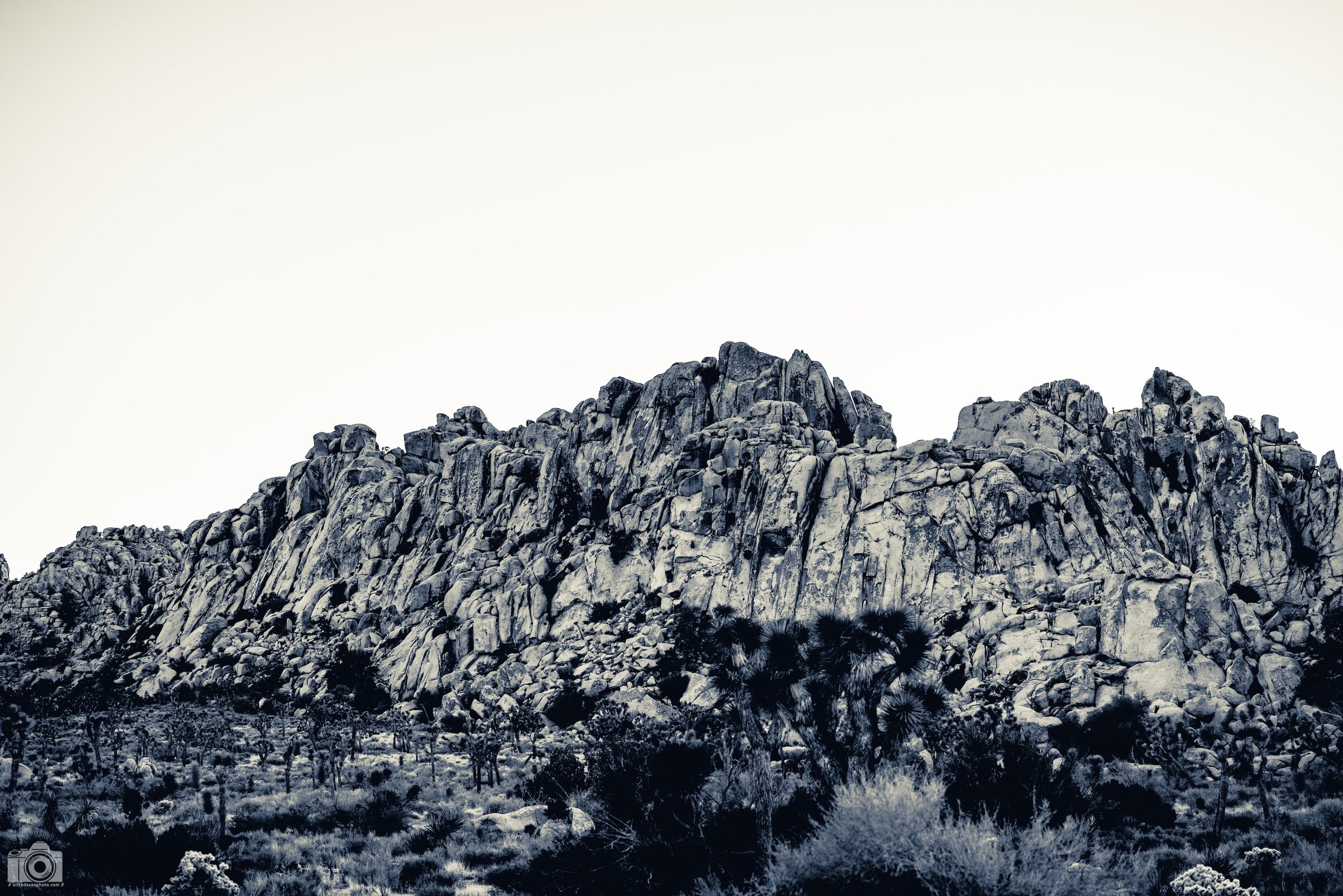 2024 - In the Valley of Giants in B&W.  Shot with a Canon EOS R5 // RF 70-200mm @ 70mm f/4 ISO 100 - 1/125s.