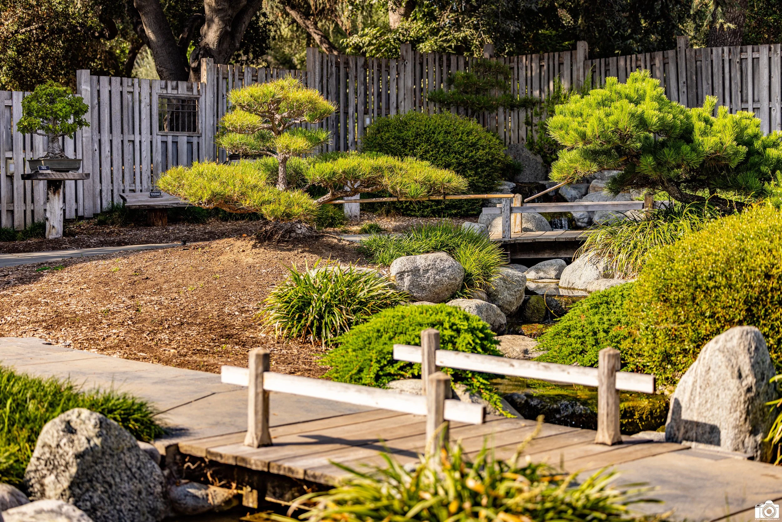 2023 - Two Bridges and One Creek.  Shot with a Canon EOS R5 // 70-200mm f/2.8 L @ 70mm f2.8 - ISO 100 - 1/800s.