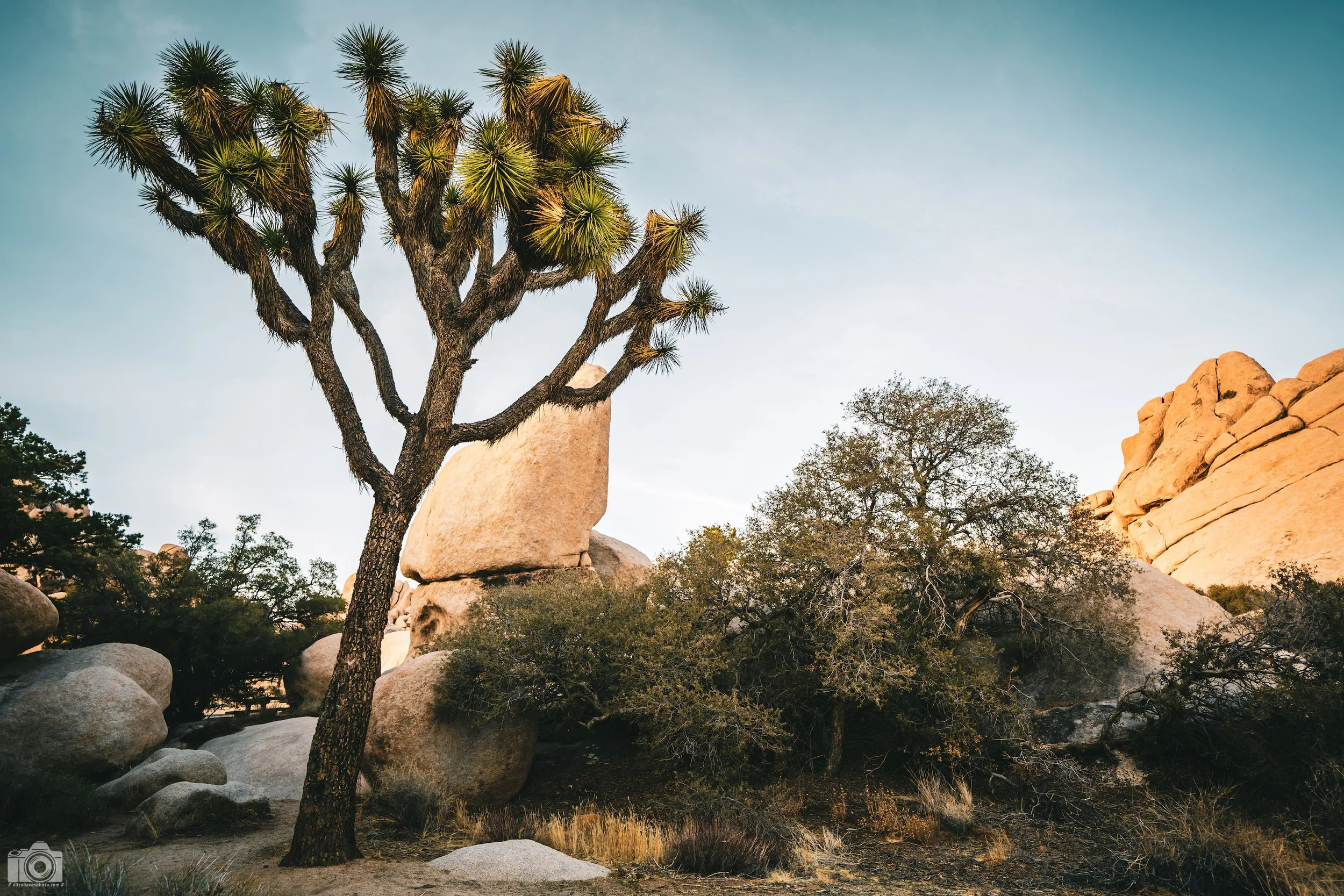 2025 - Finding Tranquility in slow shutter speeds.  Shot with a Sony a7c II // FE 12-24mm G @ 24mm f/4 ISO 100 - 1/50s.