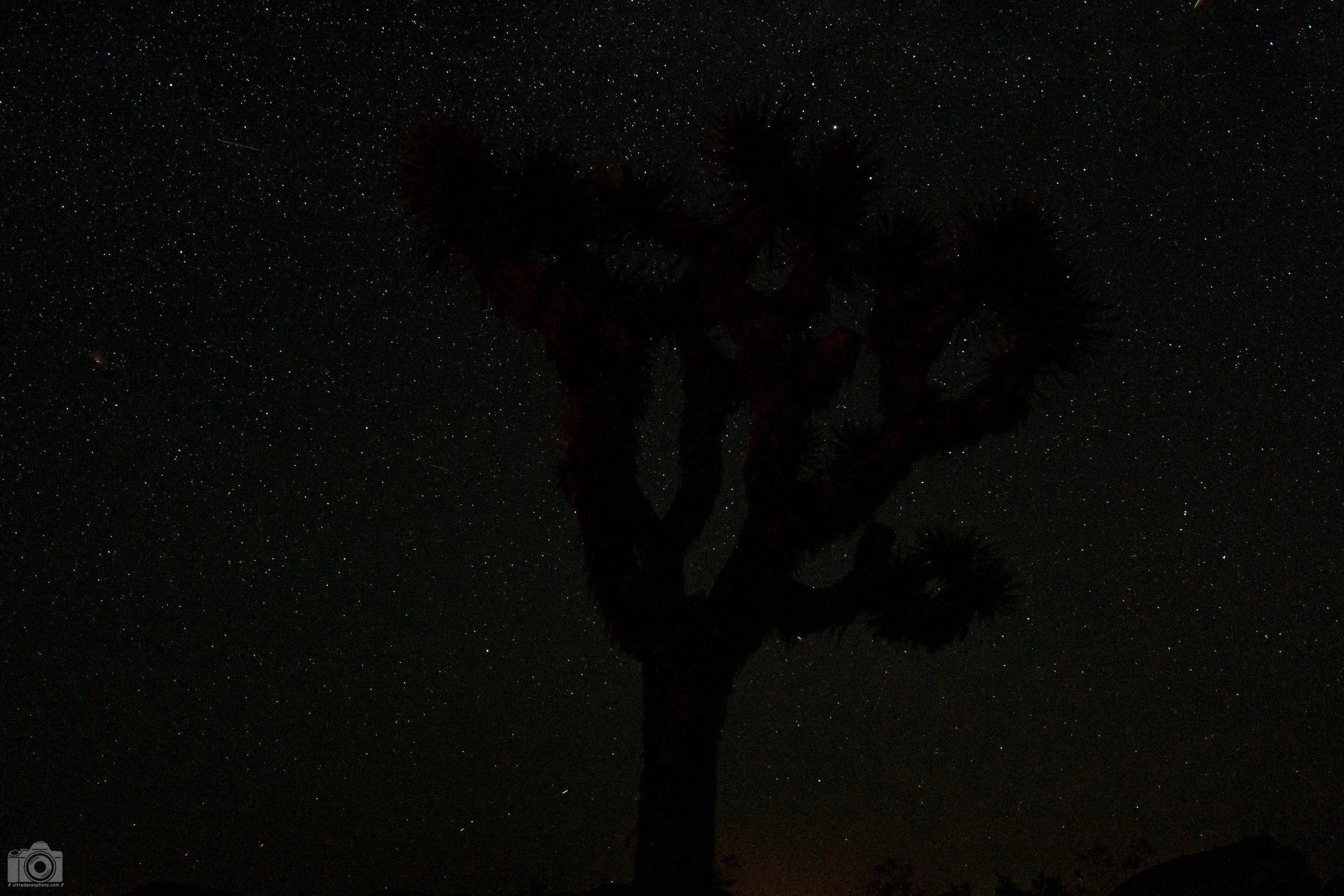 2024 - Dark Mode.  Shot with a Leica Q (Typ 116) // Fixed Summilux 28mm @ 35mm f/2.8 ISO 1600 - 5s.  Tripod mounted.