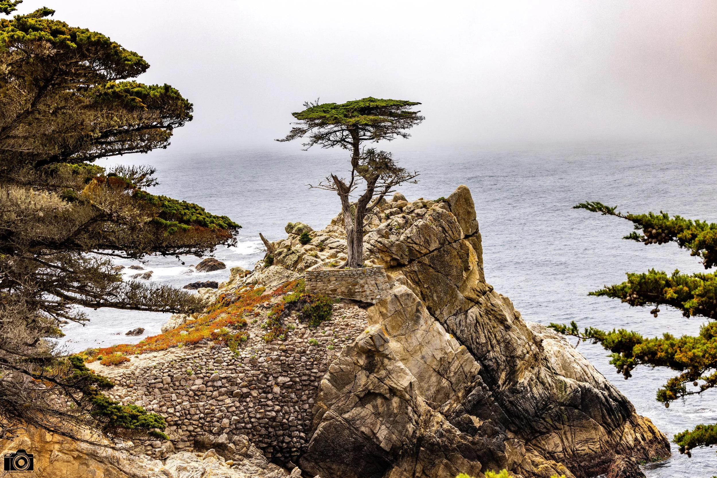 Running To Stand Still.  Shot taken with a Canon EOS R5 with an RF 70-200mm f/2.8L @ 70mm - f/8 ISO 100 1/400s.