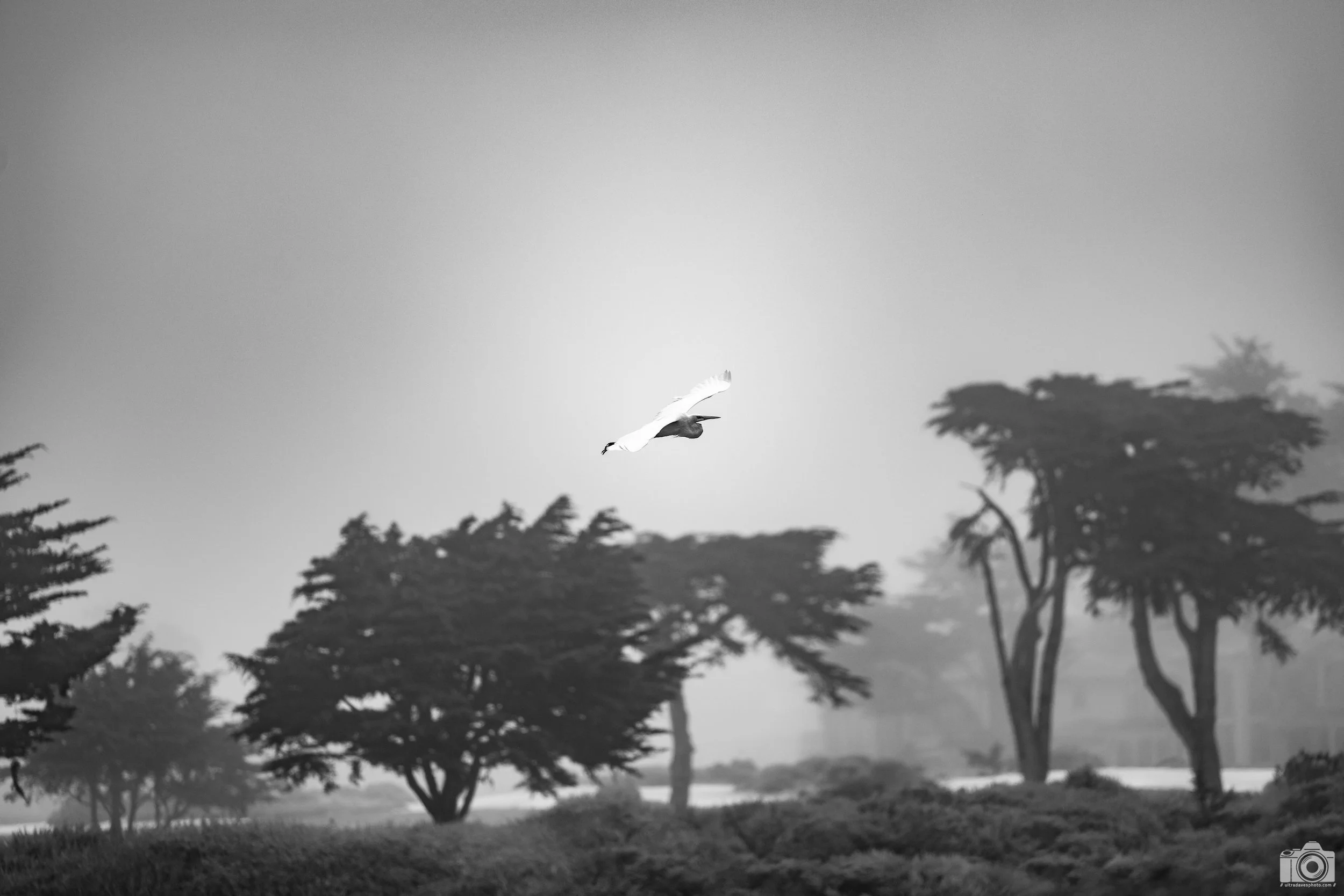 Angled Extension.  Shot taken with a Canon EOS R5 with an RF 70-200mm f/2.8L @ 200mm - f/2.8 ISO 100 1/3200s.