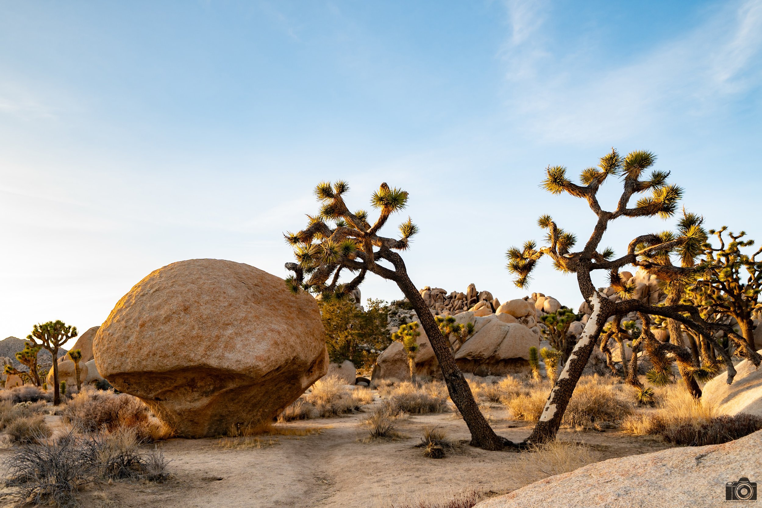 2025 - Siamese Trees and Mushrooms Rocks.  Shot with a Sony a7c II // FE 12-24mm G @ 18mm f/4 ISO 100 - 1/100s.