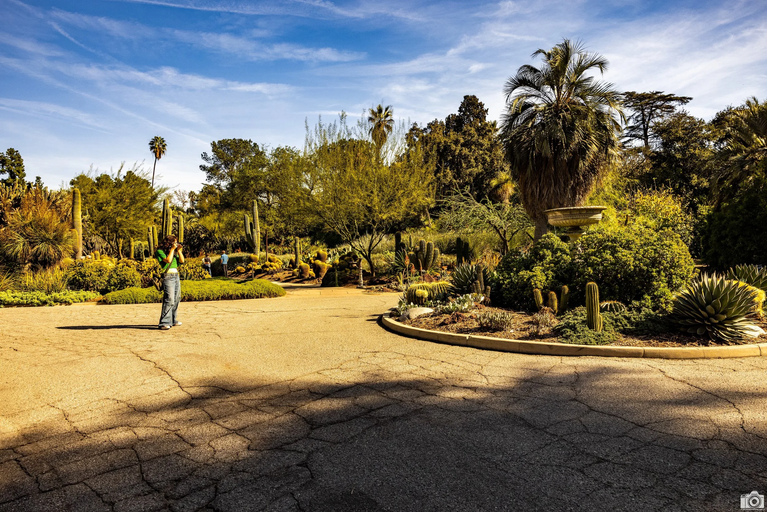 2025 - The Sprouting Photographer.  My oldest daughter wanted to learn, however, she was not interested in using a manual camera because there was too many functions.  However, my youngest daughter will be my protege.  She was shooting on my Sony a7c