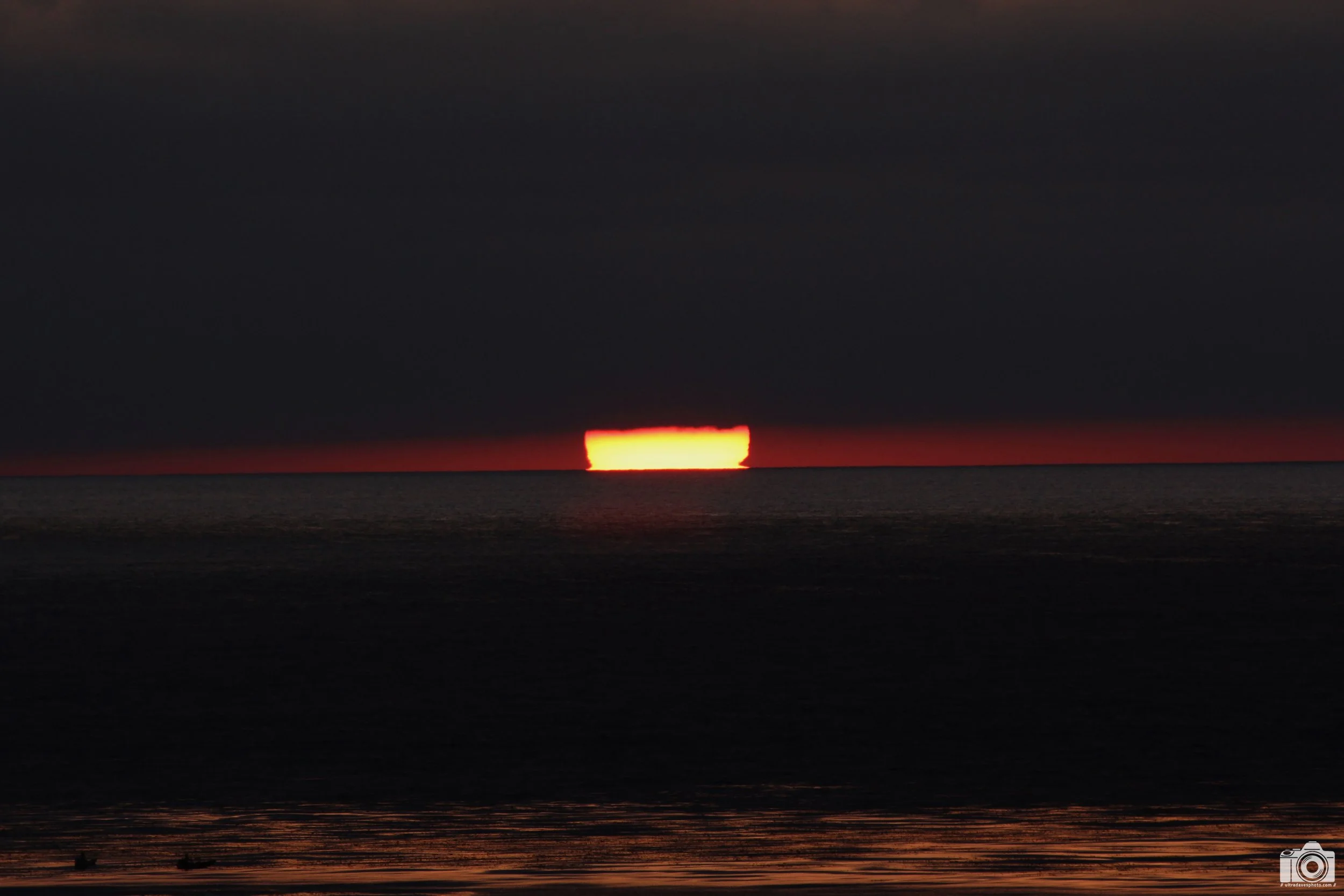 2013 - Golden Eye.  Solana Beach, CA.  Shot with a Canon EOS 60D // EF 70-300mm @ 300mm f8 ISO 400 - 1/500s.