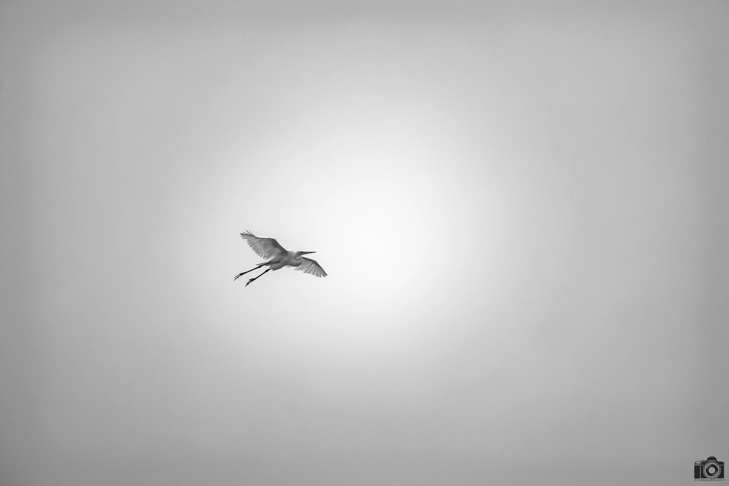 Lookout Below!  Shot taken with a Canon EOS R5 with an RF 70-200mm f/2.8L @ 200mm - f/2.8 ISO 100 1/3200s.