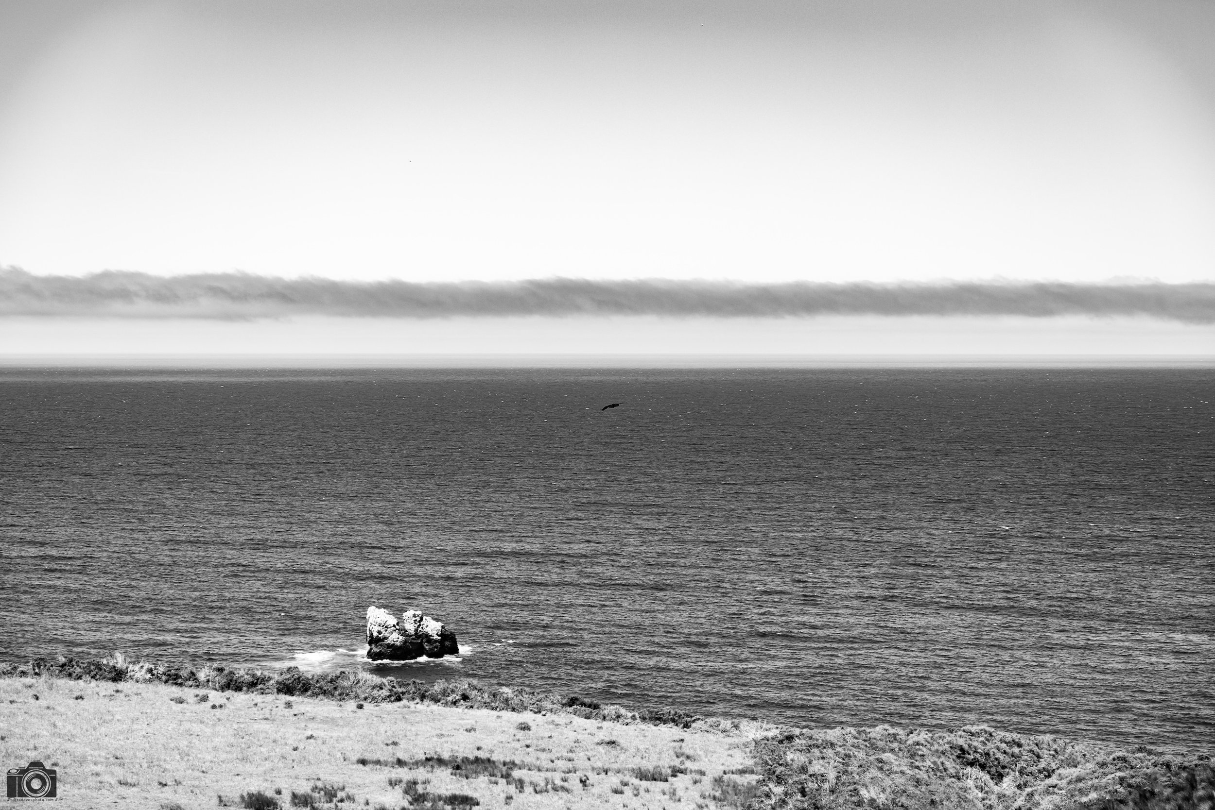 Solo Flight in B&W.  Shot taken with a Canon EOS R5 with an RF 24-70mm f/2.8L @ 70mm - f/3.5 ISO 100 1/640s.