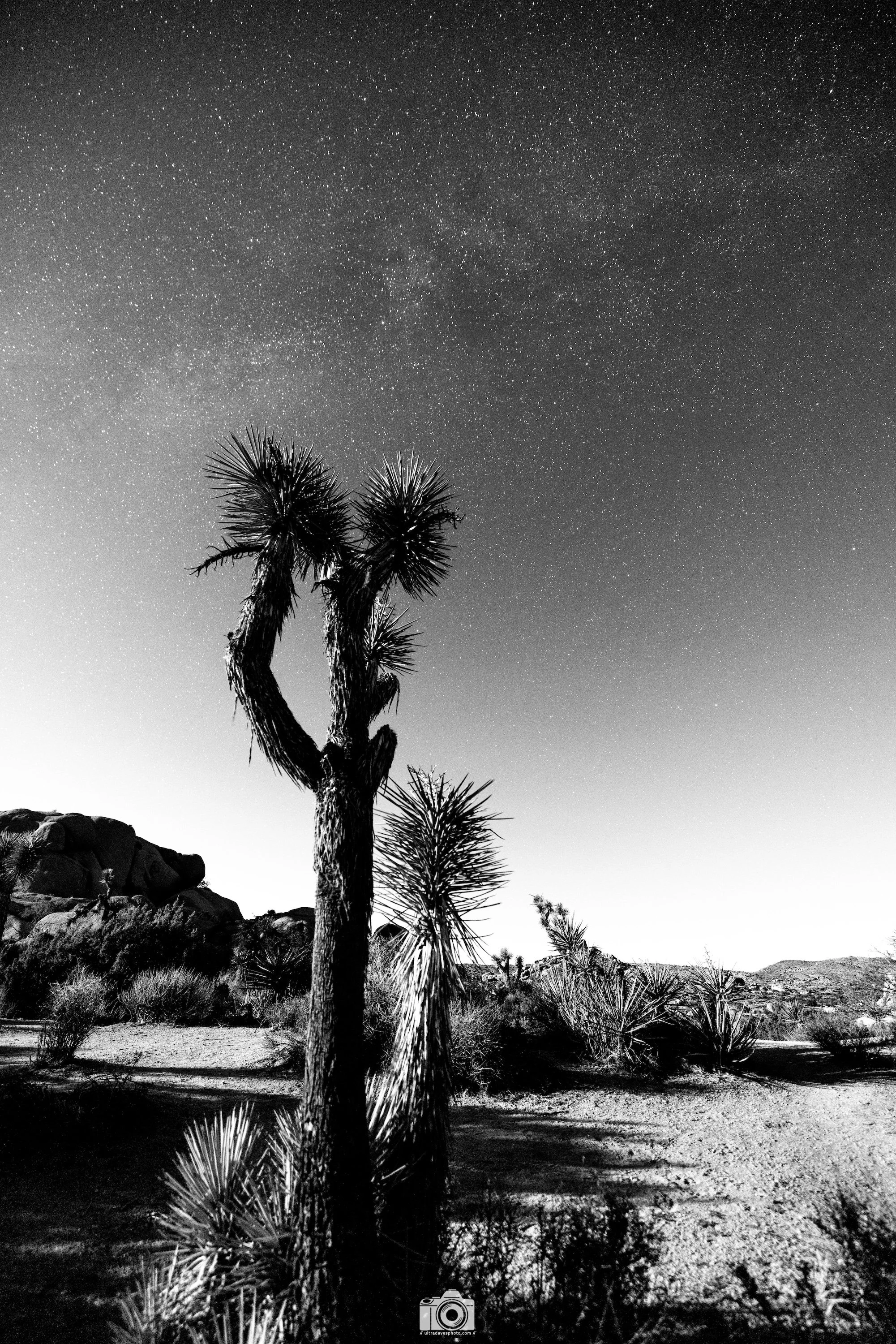2021 - A Blanket of Stars in B&W.  Shot with a Canon EOS R5 // RF 15-35mm @ 15mm f2.8 ISO 800 20s.  Tripod mounted.