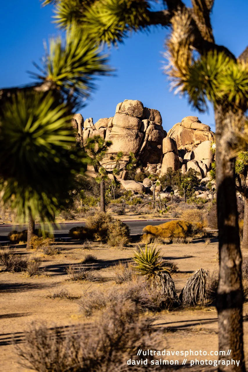 2024 - Hidden Valley Rock Formation Framed. Shot with a Canon R5 // RF 70-200mm @ 70mm f2.8 ISO 50 1/2000s.