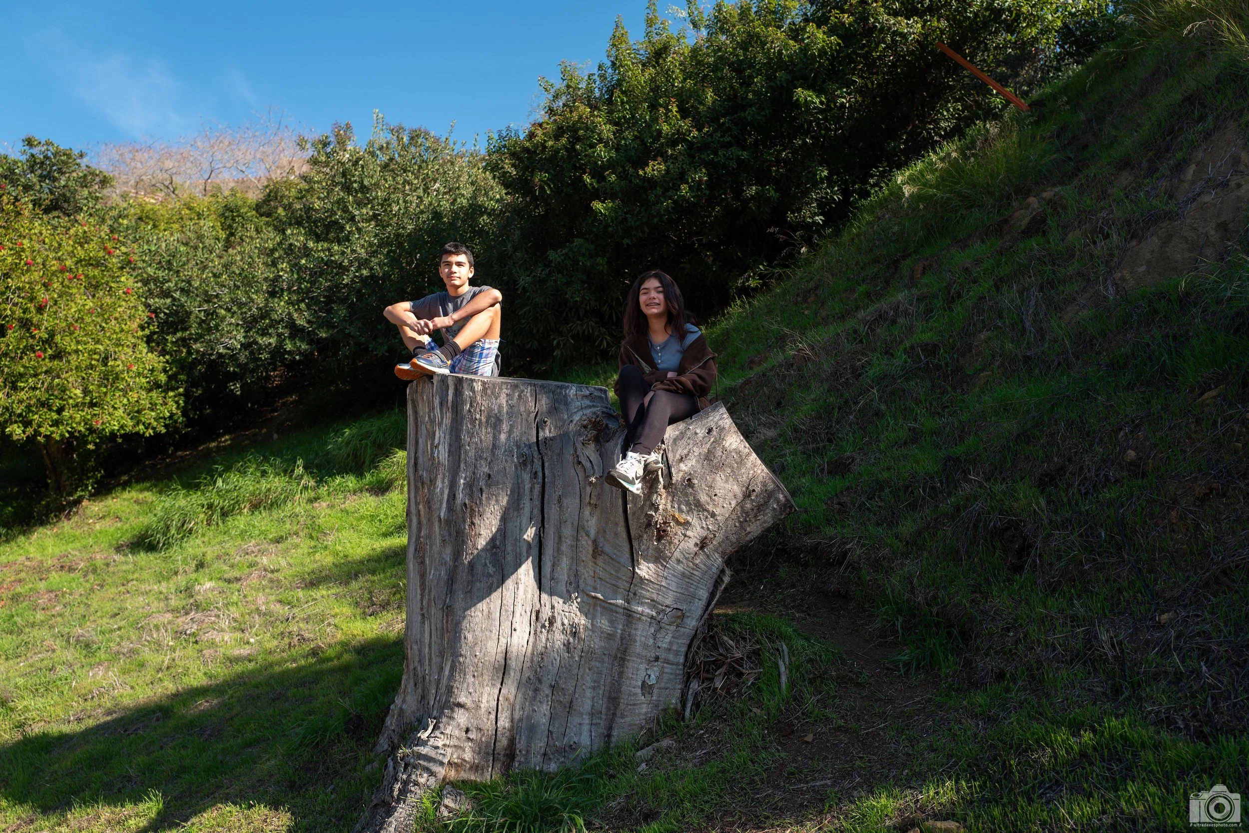 2024 - The twins on a stump.  Shot taken with a Leica Q (Typ116) // Fixed Summilux 28mm f/4 ISO 100 - 1/1000s.
