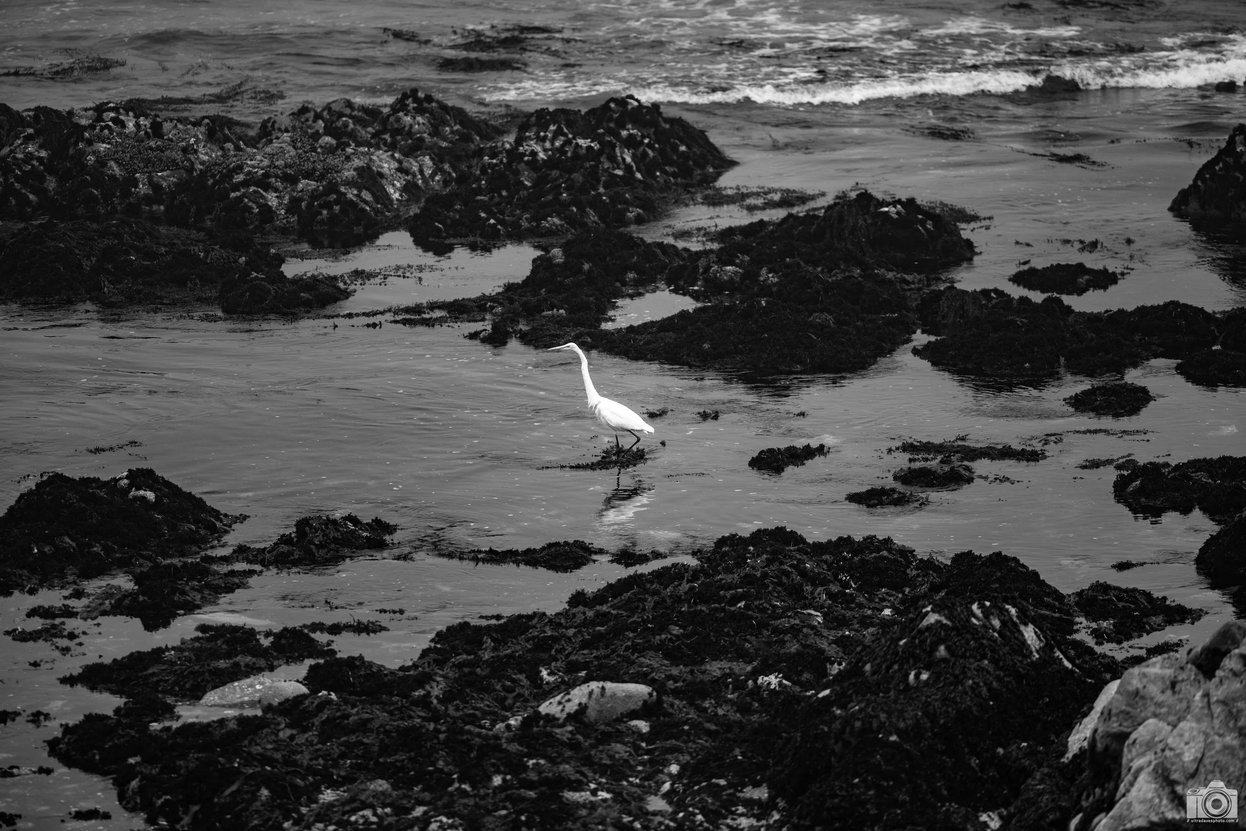 Getting Ready For Launch.  Shot taken with a Canon EOS R5 with an RF 70-200mm f/2.8L @ 200mm - f/2.8 ISO 100 1/3200s.