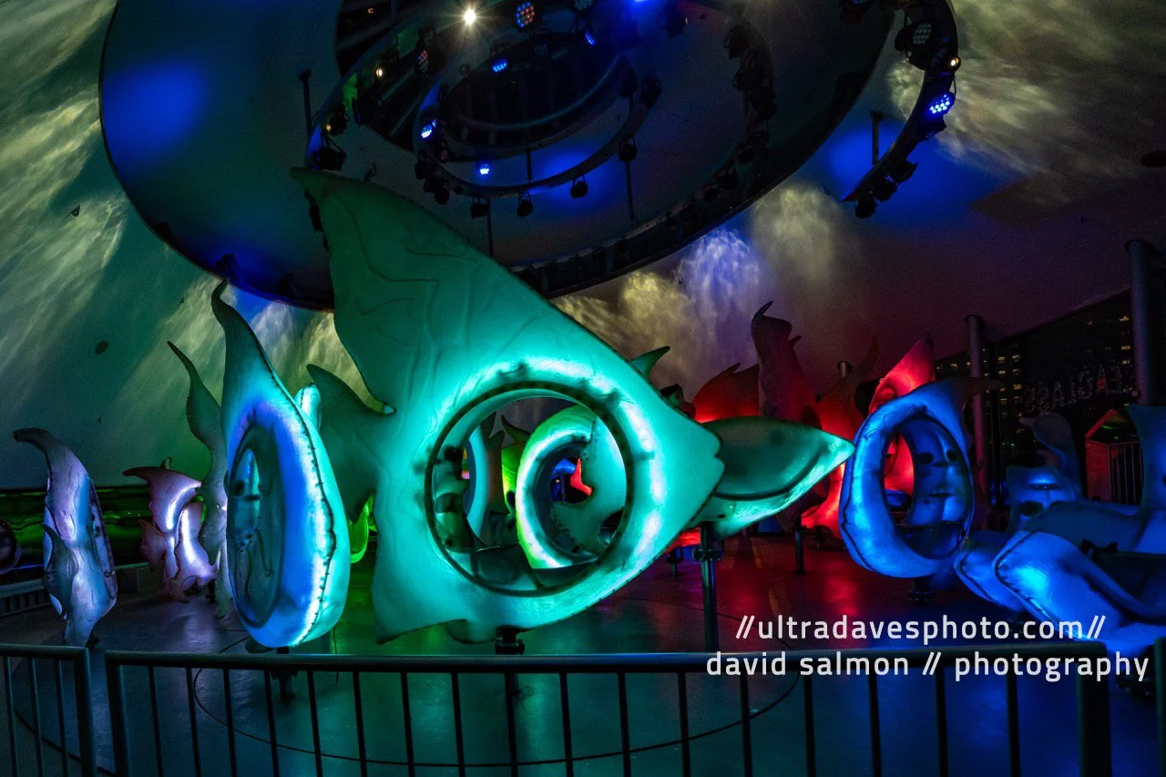 Under the Sea. Shot with a Sony a7c II // FE 12-24mm G @ 13mm f/4 ISO 6400 - 1/800s.