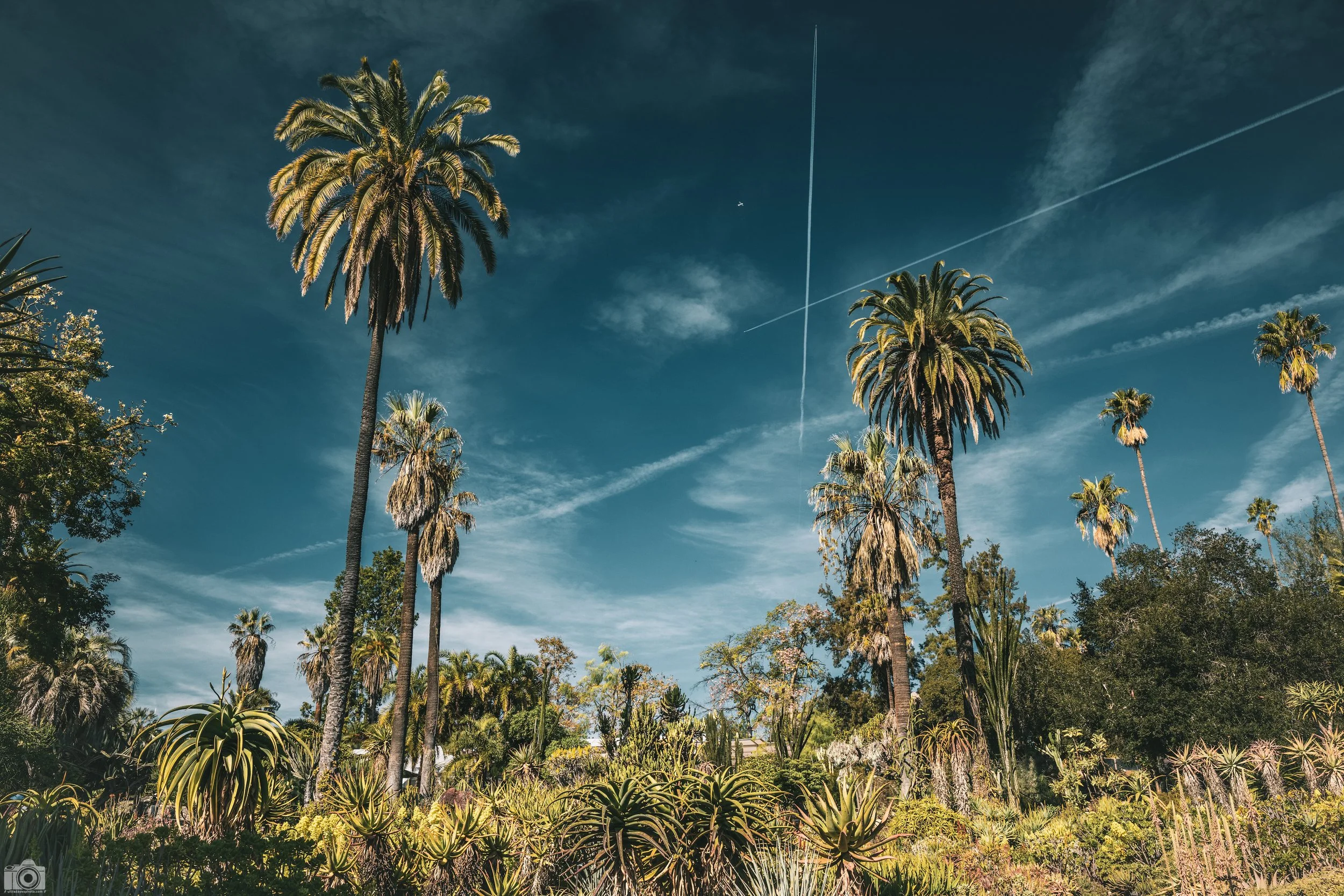 2025 - Dark Blue Skies.  Shot with a Canon EOS R5 // 24-70mm f/2.8 L @ 28mm f/8 - ISO 400 - 1/400s.