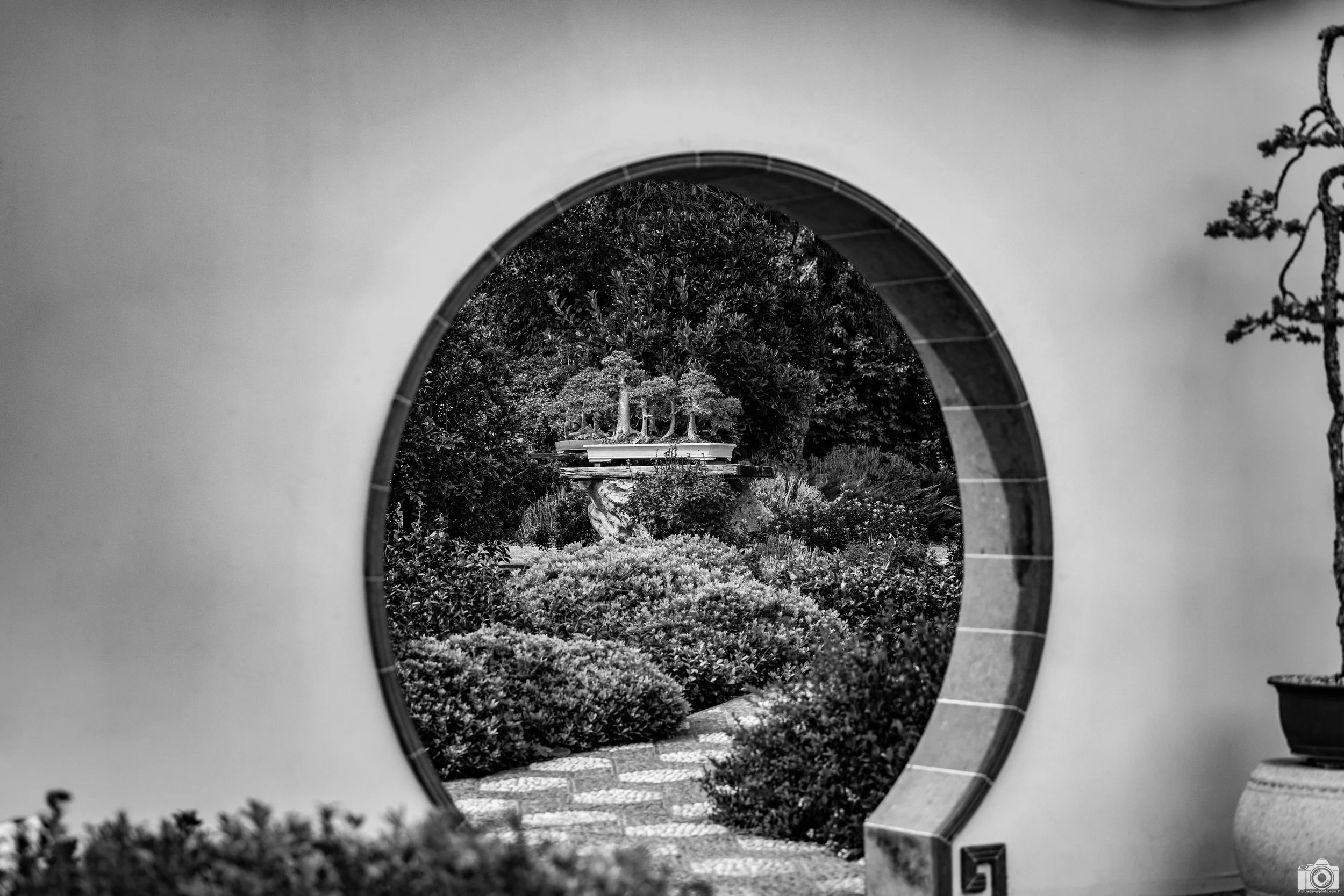 2023 - The Valley Beyond The Wall Is Mikasa's Lair in B&W.  Shot with a Canon EOS R5 // 70-200mm f/2.8 L @ 70mm f2.8 - ISO 100 - 1/1000s.