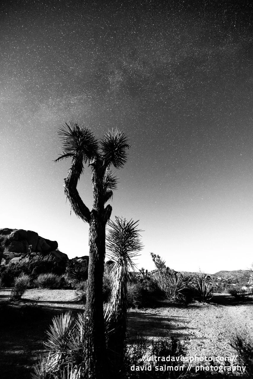 2021 - A Blanket of Stars in B&W. Shot with a Canon EOS R5 // RF 15-35mm @ 15mm f2.8 ISO 800 20s. Tripod mounted.