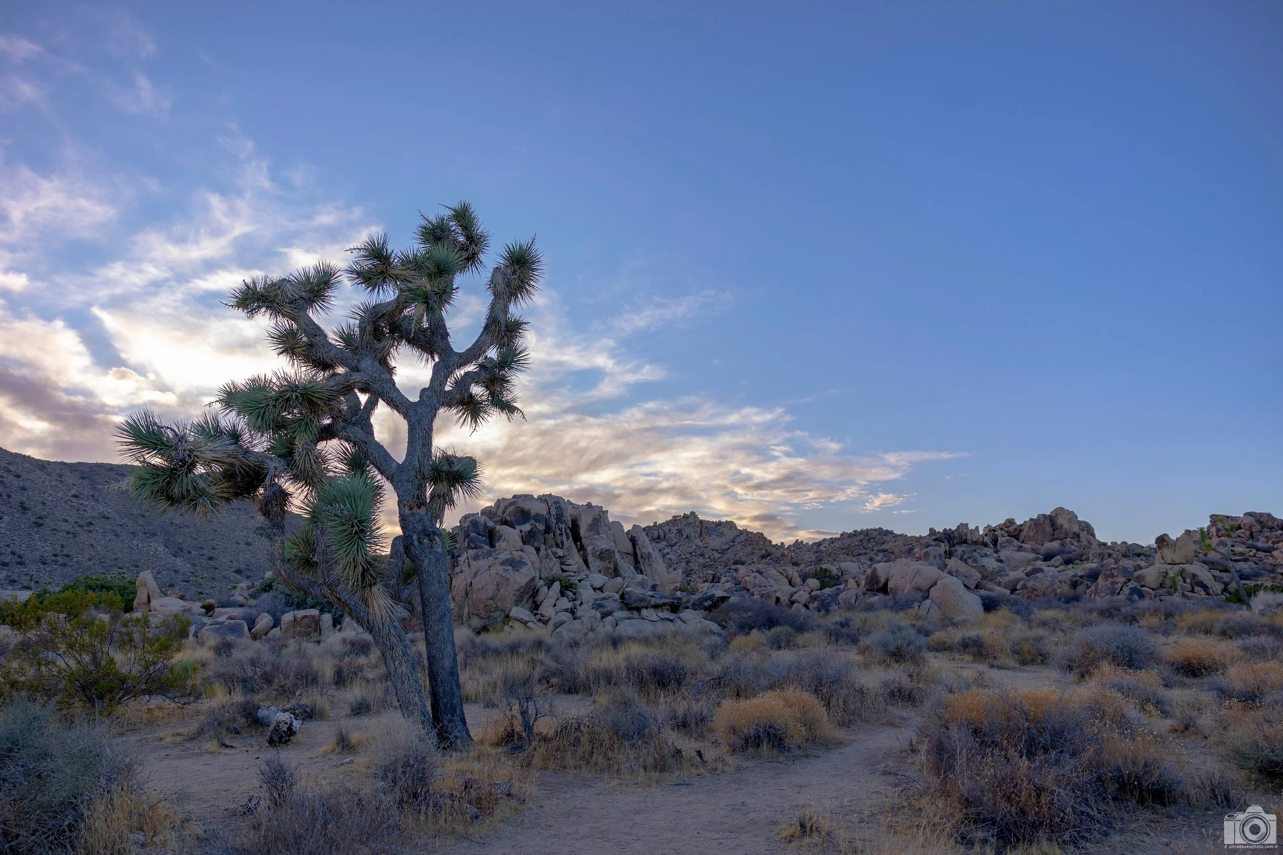 2020 - Jumbo Rock, Joshua Tree.  After this trip, it's been my goal to go at least once a year if possible.  Shot with a Canon EOS R6 // RF 24-70mm @ 24mm f/3.2 ISO 100 - 1/400s.