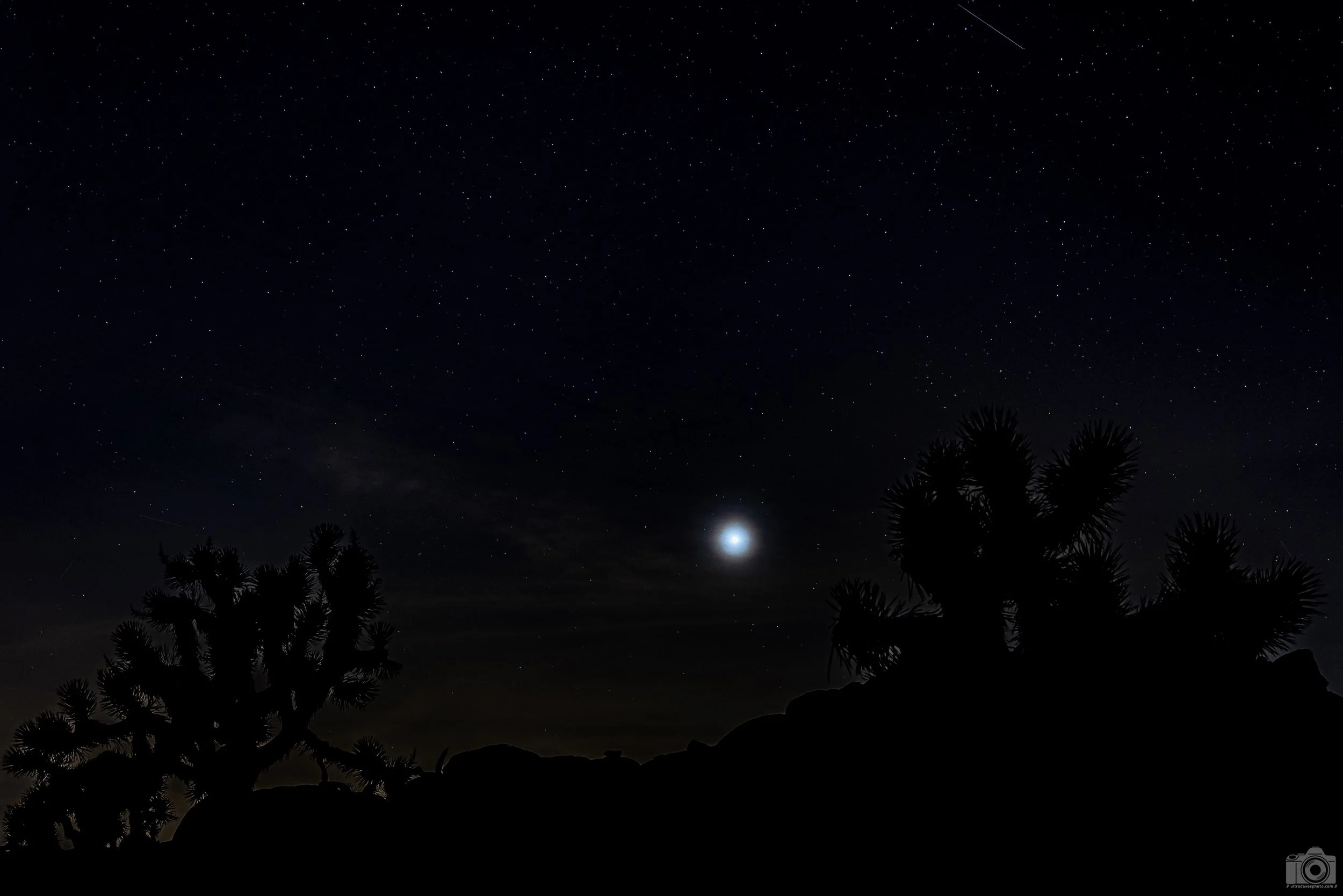 2025 - Following the Light.  Shot with a Canon EOS R5 // RF 24-70mm @ 43mm f/2.8 ISO 1600 - 5s.  Tripod mounted.