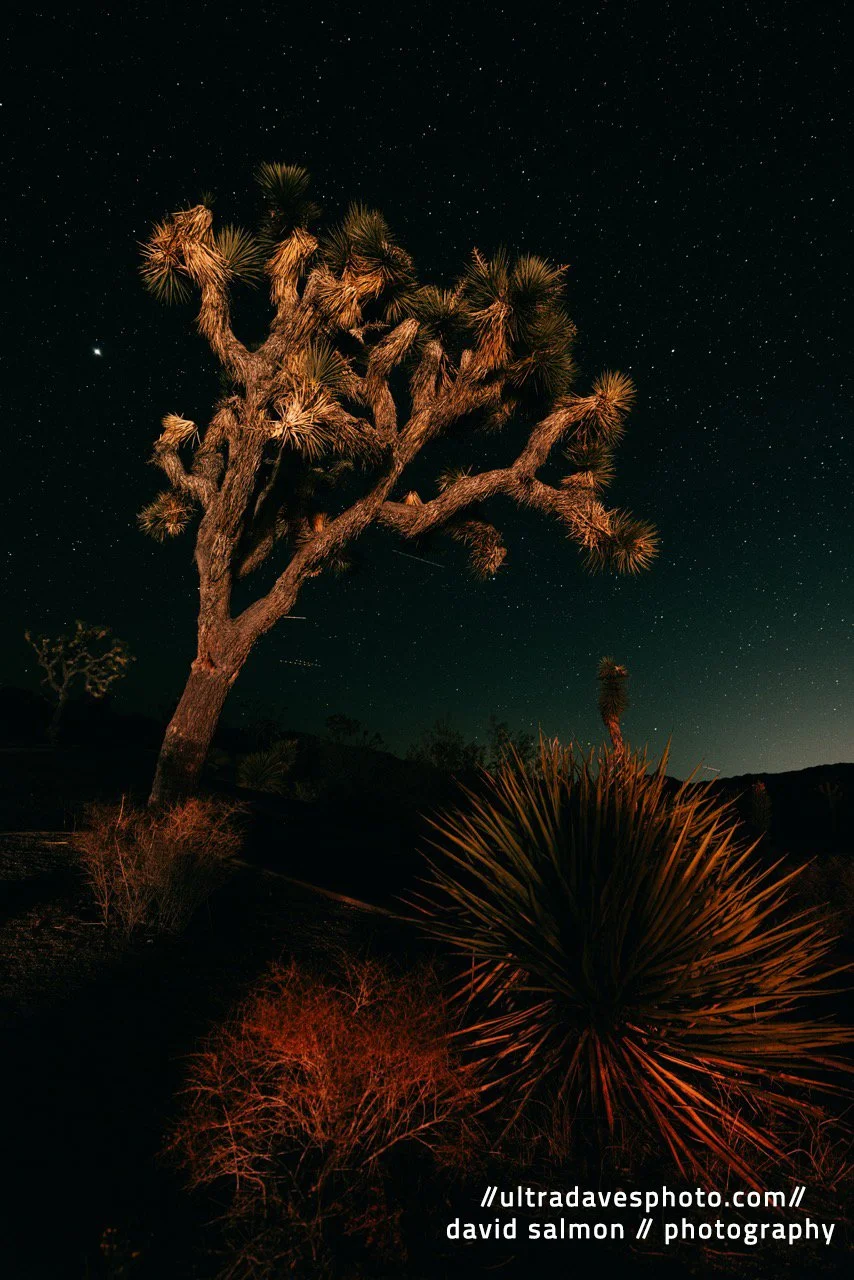 2022 - The Light in the Dark. Shot with a Canon EOS R5 // RF 15-35mm @ 17mm f2.8 ISO 3200 10s. Tripod mounted.