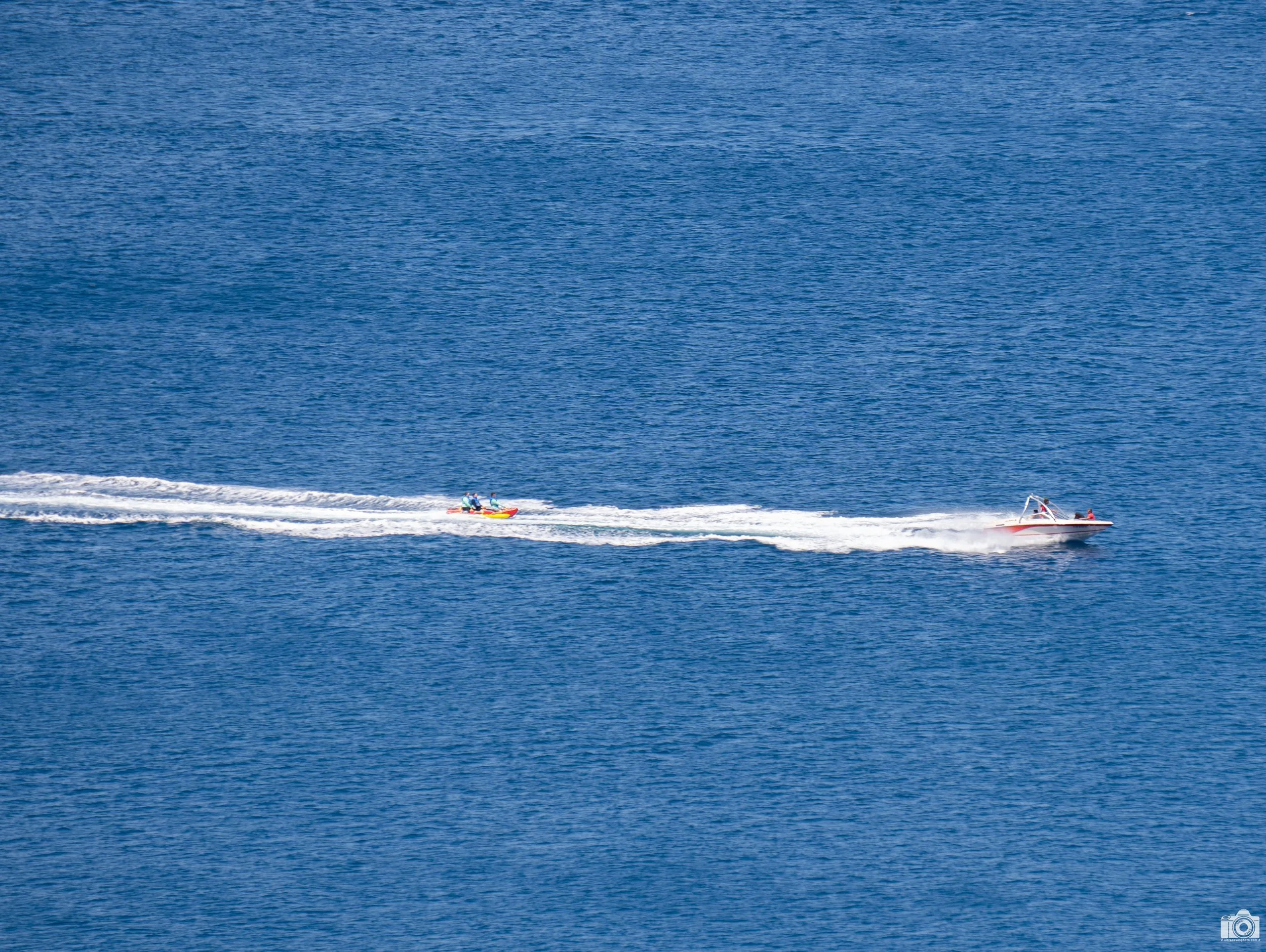 Puerto Rico, USA 2022.  Pulling the Team.  Shot taken with a Sony a7c // E 55-210mm OSS @ 315mm - ISO 100 - f/8 - 1/200s.