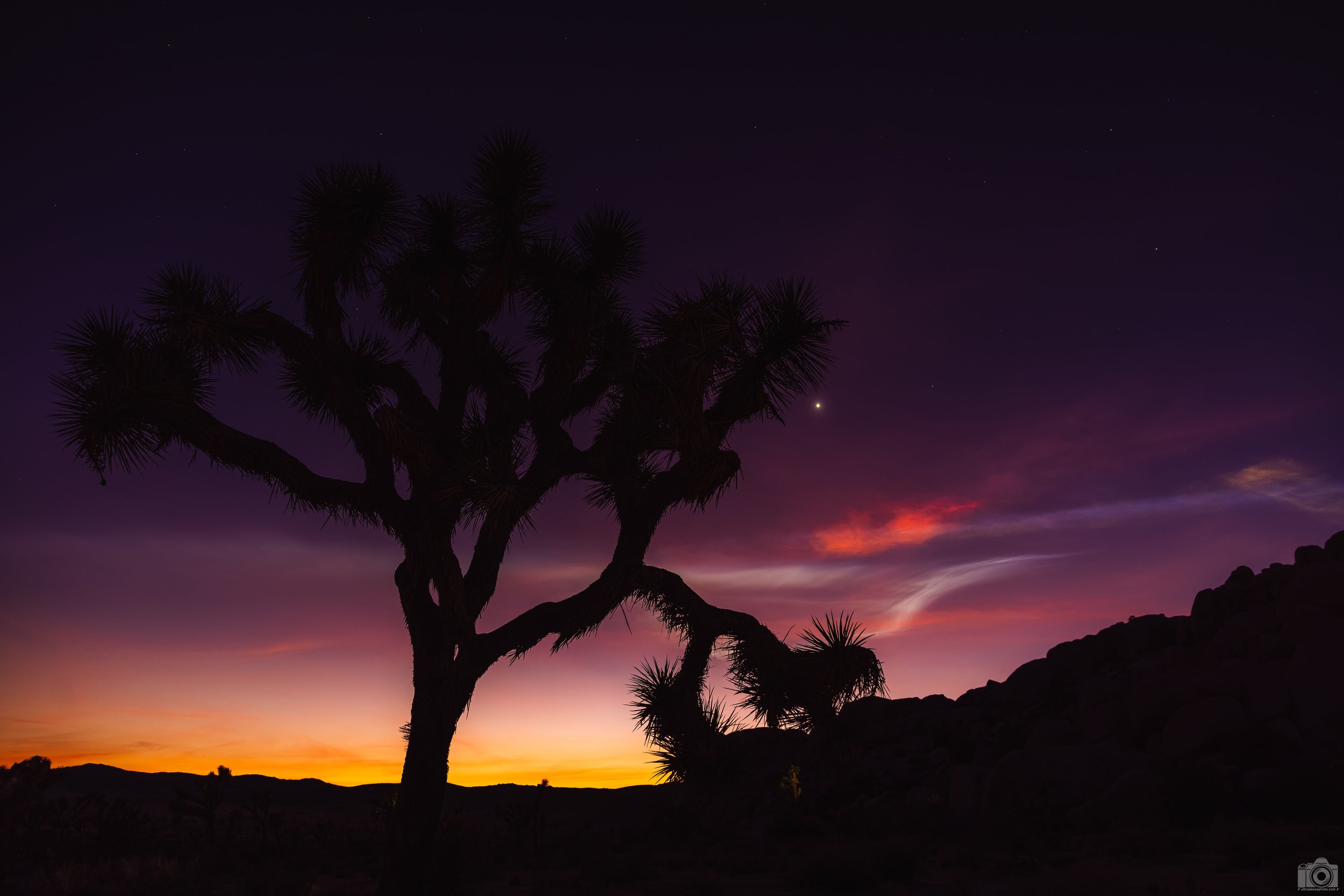 2025 - The Running Tree.  Shot with a Canon EOS R5 // RF 24-70mm @ 24mm f/2.8 ISO 100 - 5s. Tripod mounted.