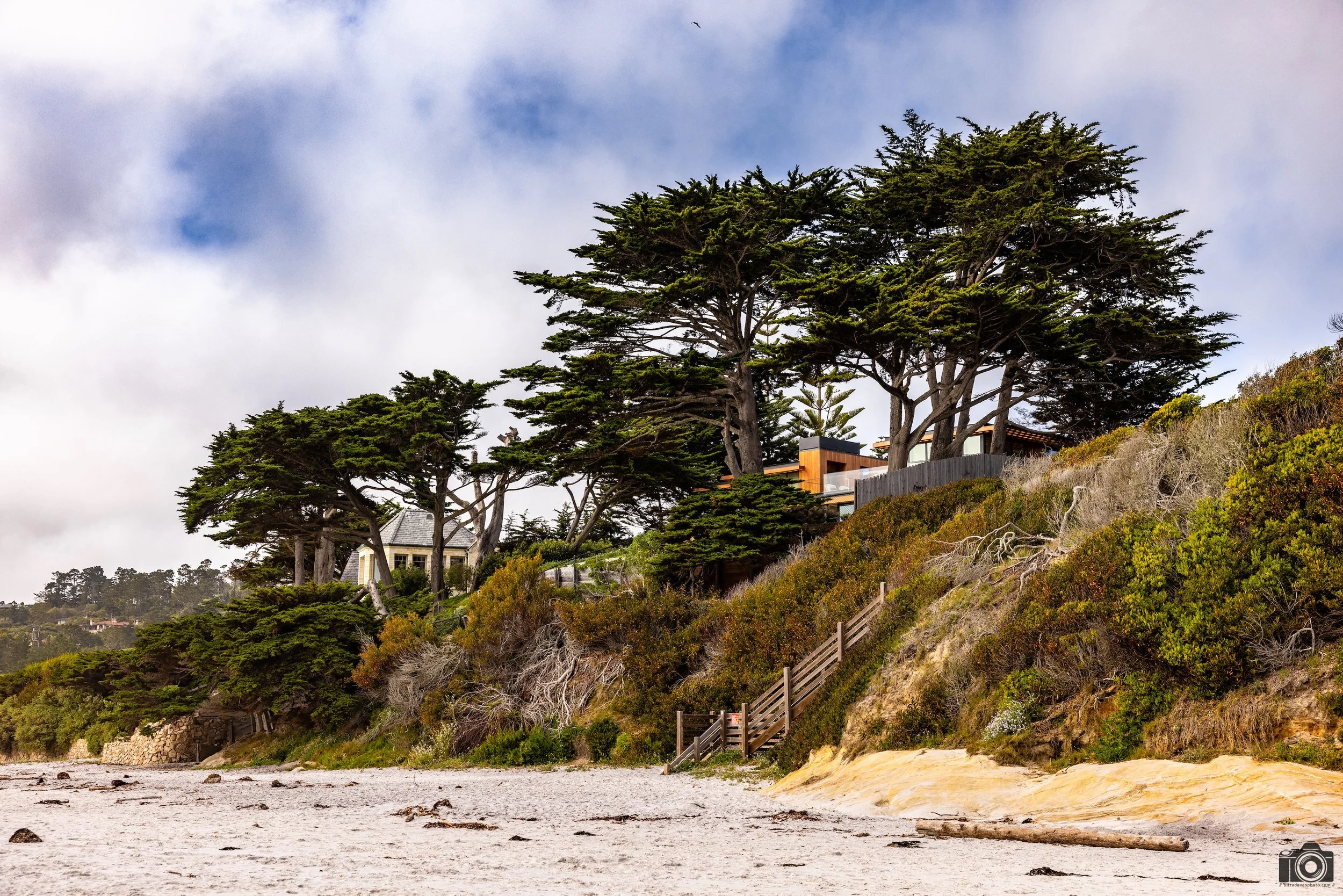 The Trees Talk To The Wind. Shot taken with a Canon EOS R5 with an RF 24-70mm f/2.8L @ 48mm - f/6.3 ISO 100 1/400s. 
