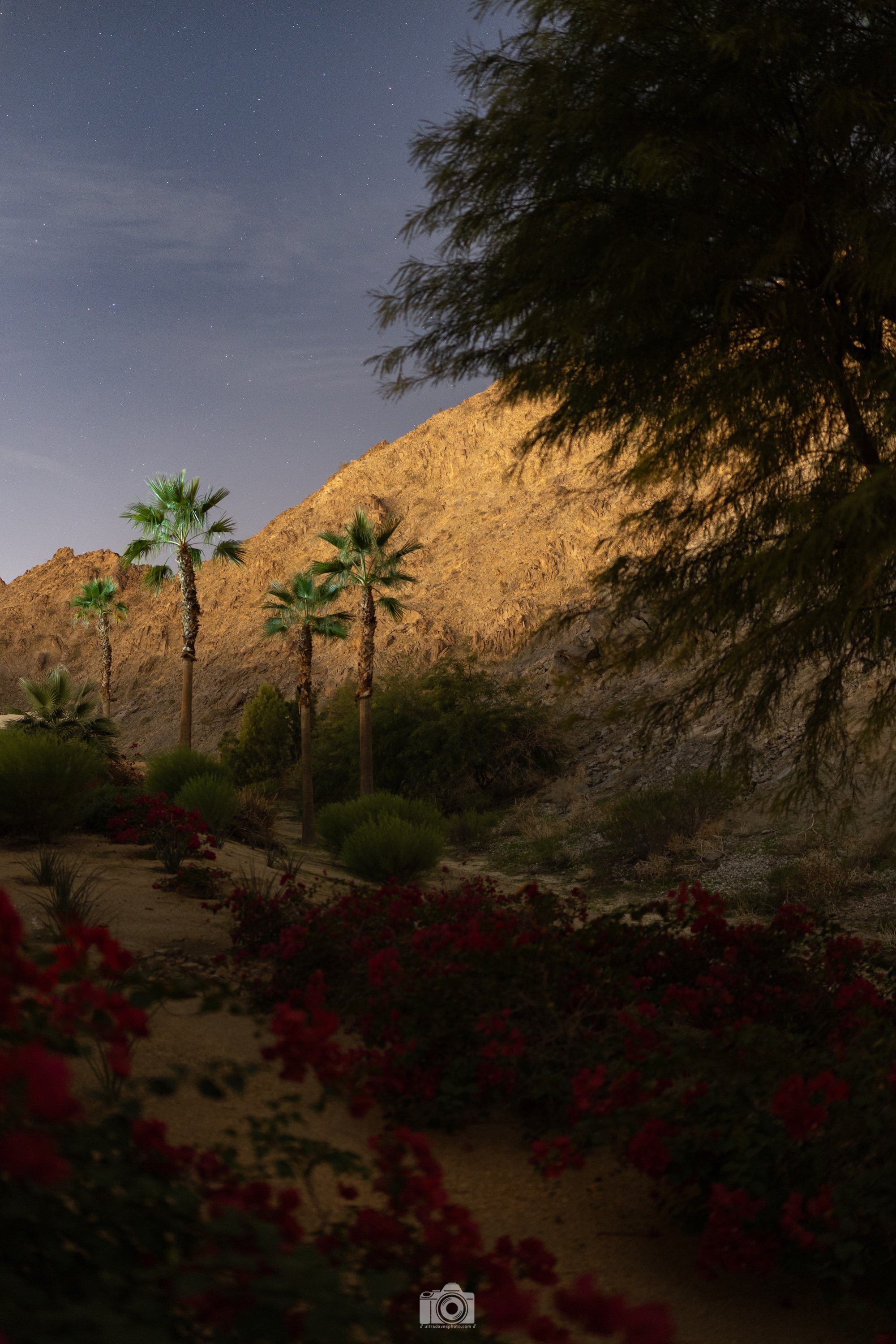 2025 - Behind the Villa in La Quinta.  This appears to be a small ravine for water to flow from the mountains during a flash flood.  Such a peaceful place waiting for destruction.  Shot with a Canon EOS R5 // 24mm F1.4L VCM @ f/1.4 ISO 640 - 5 second